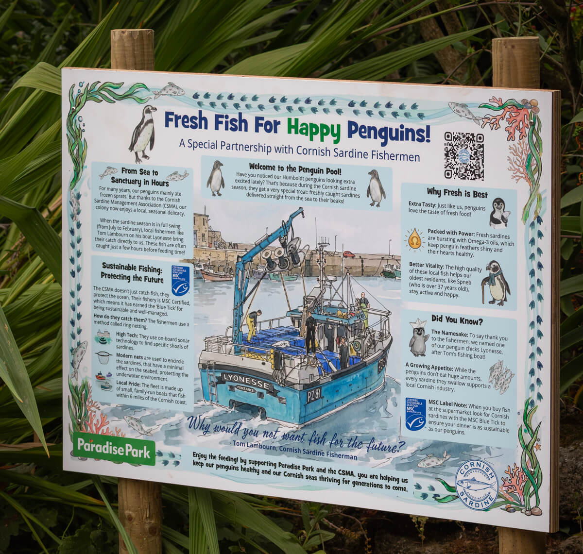 Information board about Cornish sardines beside the penguin pool at Paradise Park