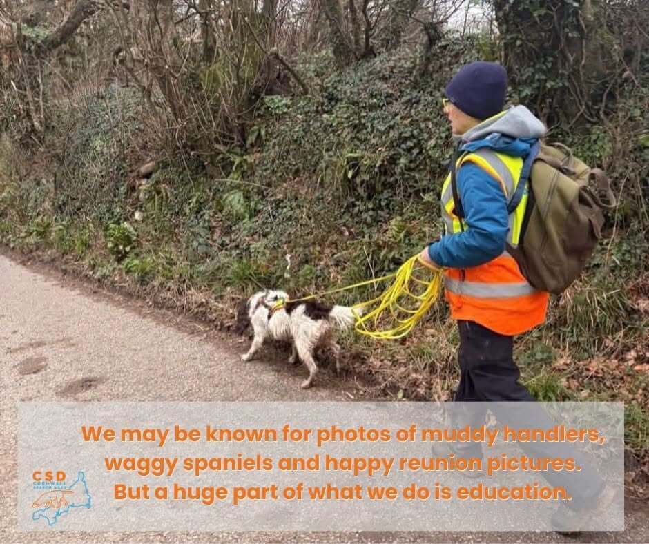 A Cornwall Search Dogs handler in hi-vis walks a spaniel on a long line down a lane, with text about the team's education work