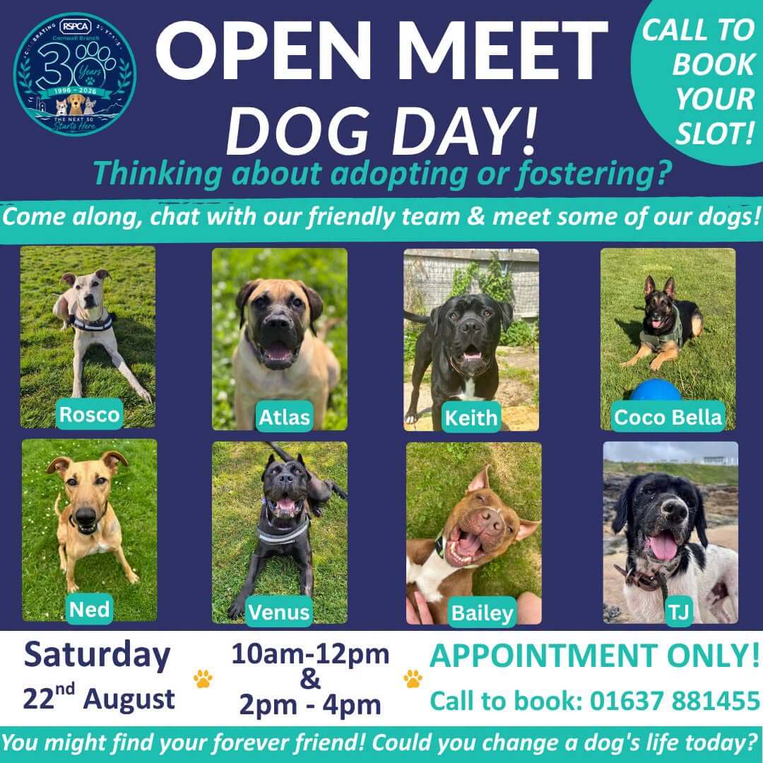 RSPCA Cornwall Open Meet Dog Day poster with photos of Rosco, Atlas, Keith, Coco Bella, Ned, Venus, Bailey and TJ, plus event date and booking number