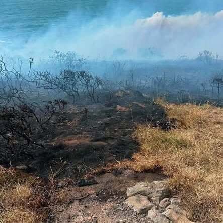 Scorched gorse and rocks on a Cornish headland after a wildfire, with smoke drifting towards the sea