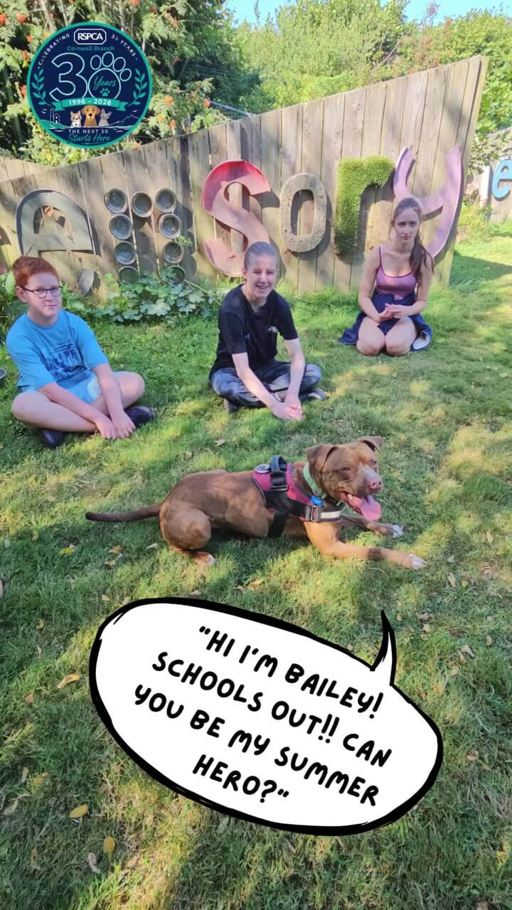 Bailey the rescue dog lies on the grass while three young people sit behind him at RSPCA Cornwall