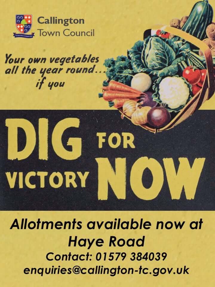 Callington Town Council Dig for Victory poster advertising allotments available now at Haye Road