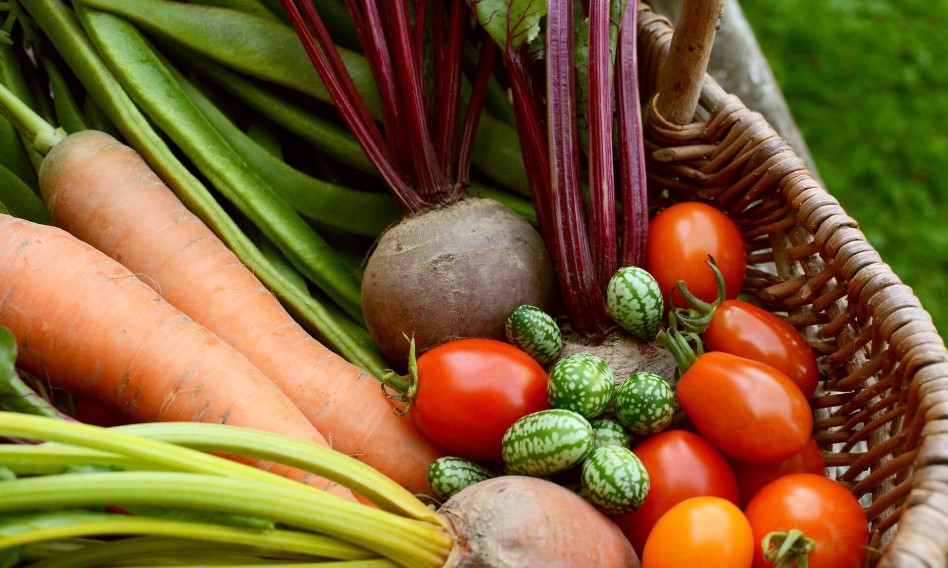 A basket of freshly picked home-grown vegetables including carrots, runner beans, beetroot, tomatoes and cucamelons