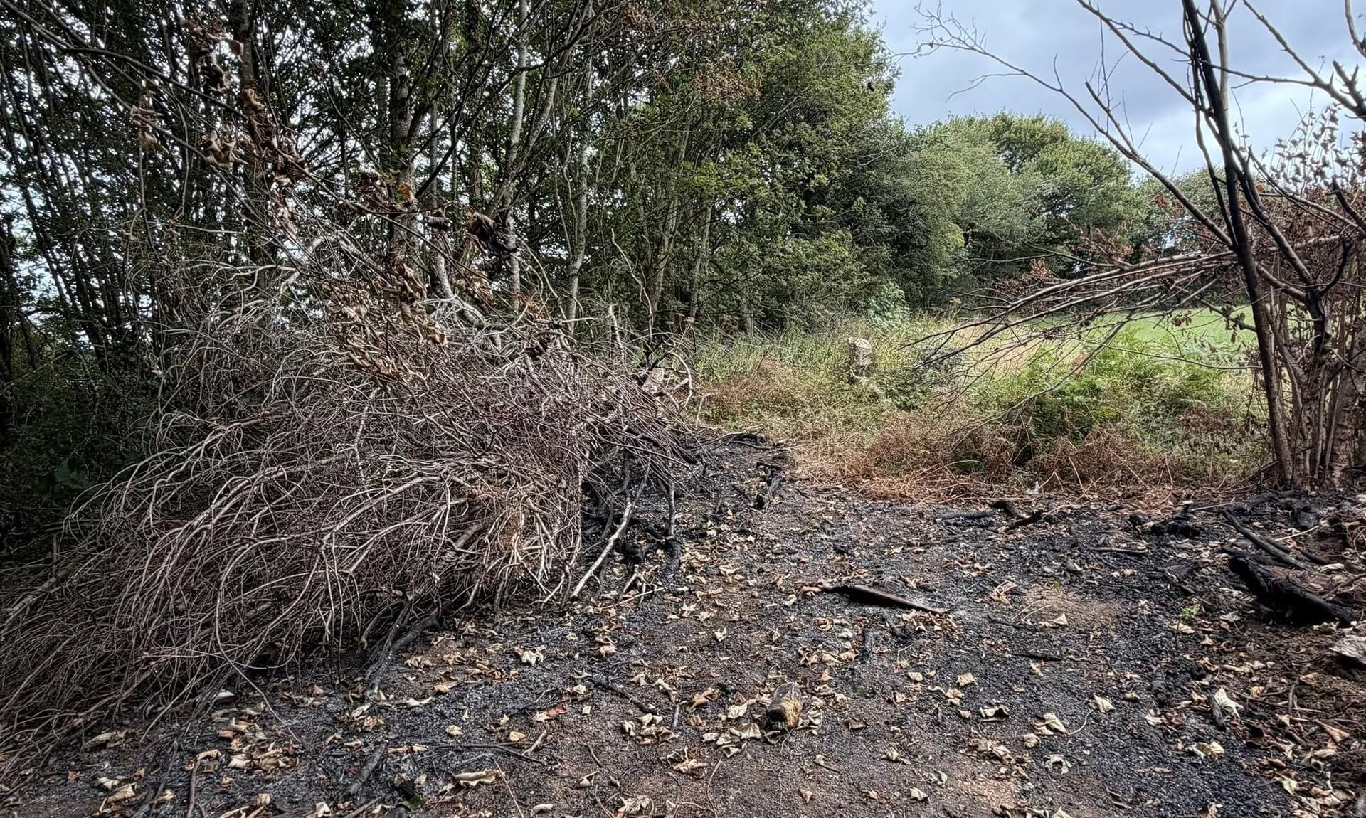 Scorched, blackened ground and burnt branches on land behind Tesco in Callington
