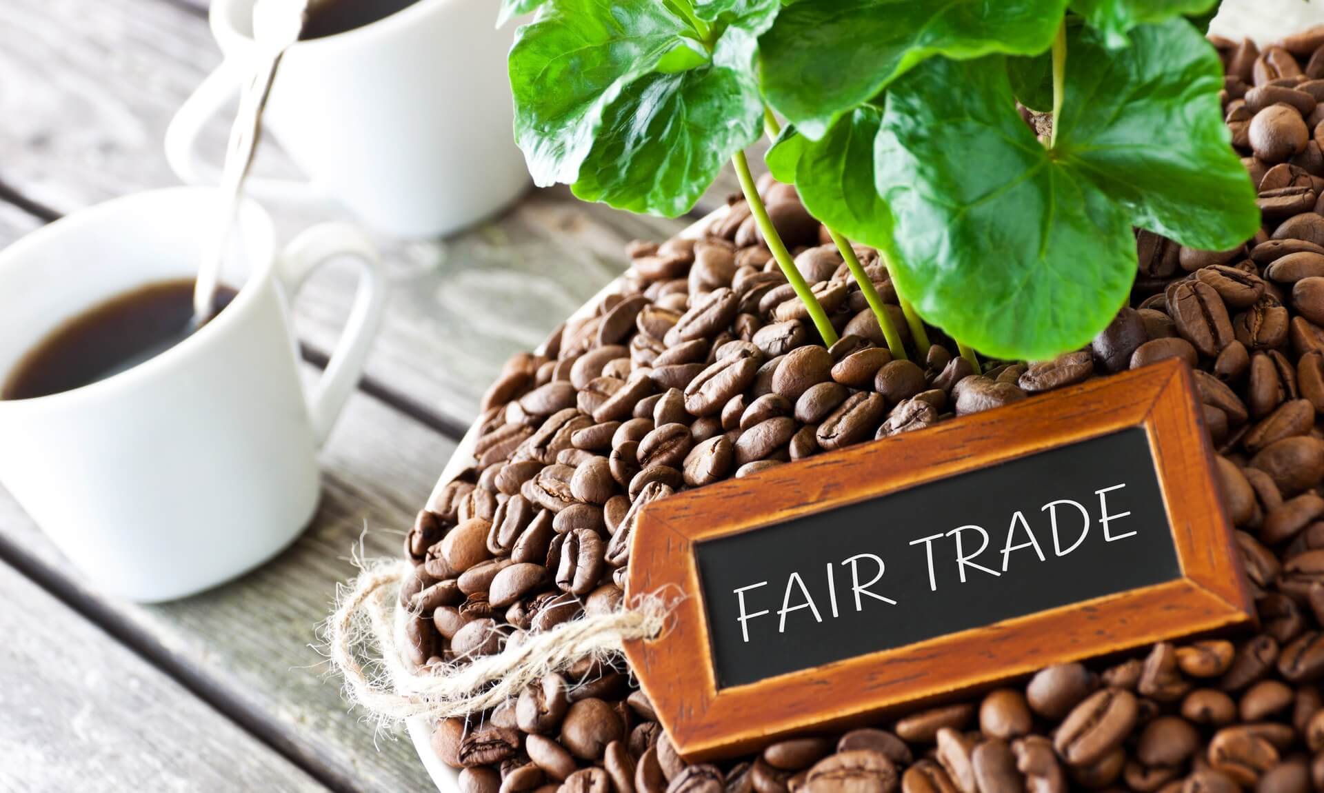 Fair Trade sign among coffee beans and coffee cups