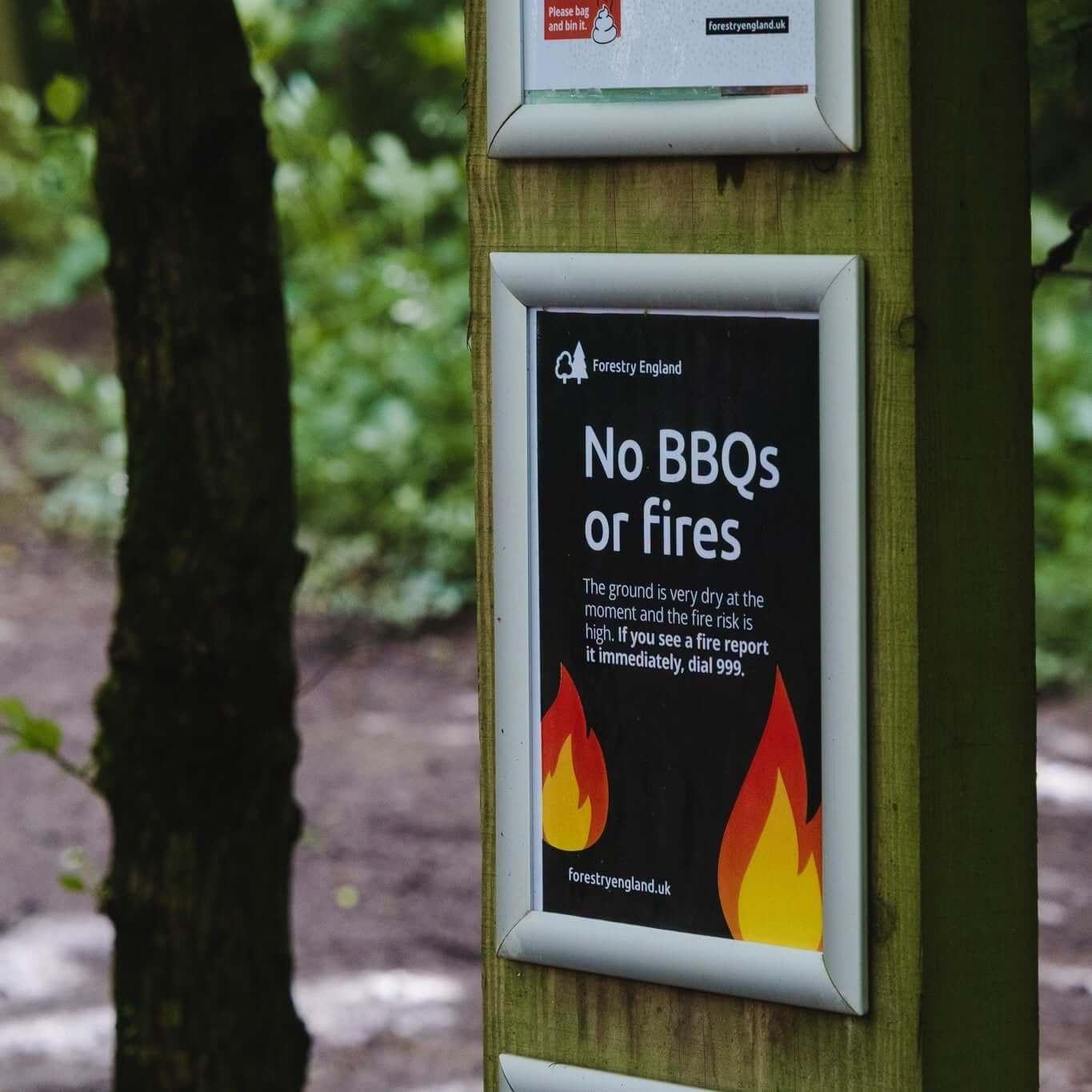 Forestry England No BBQs or fires sign on a post in the woodland at Cardinham Woods