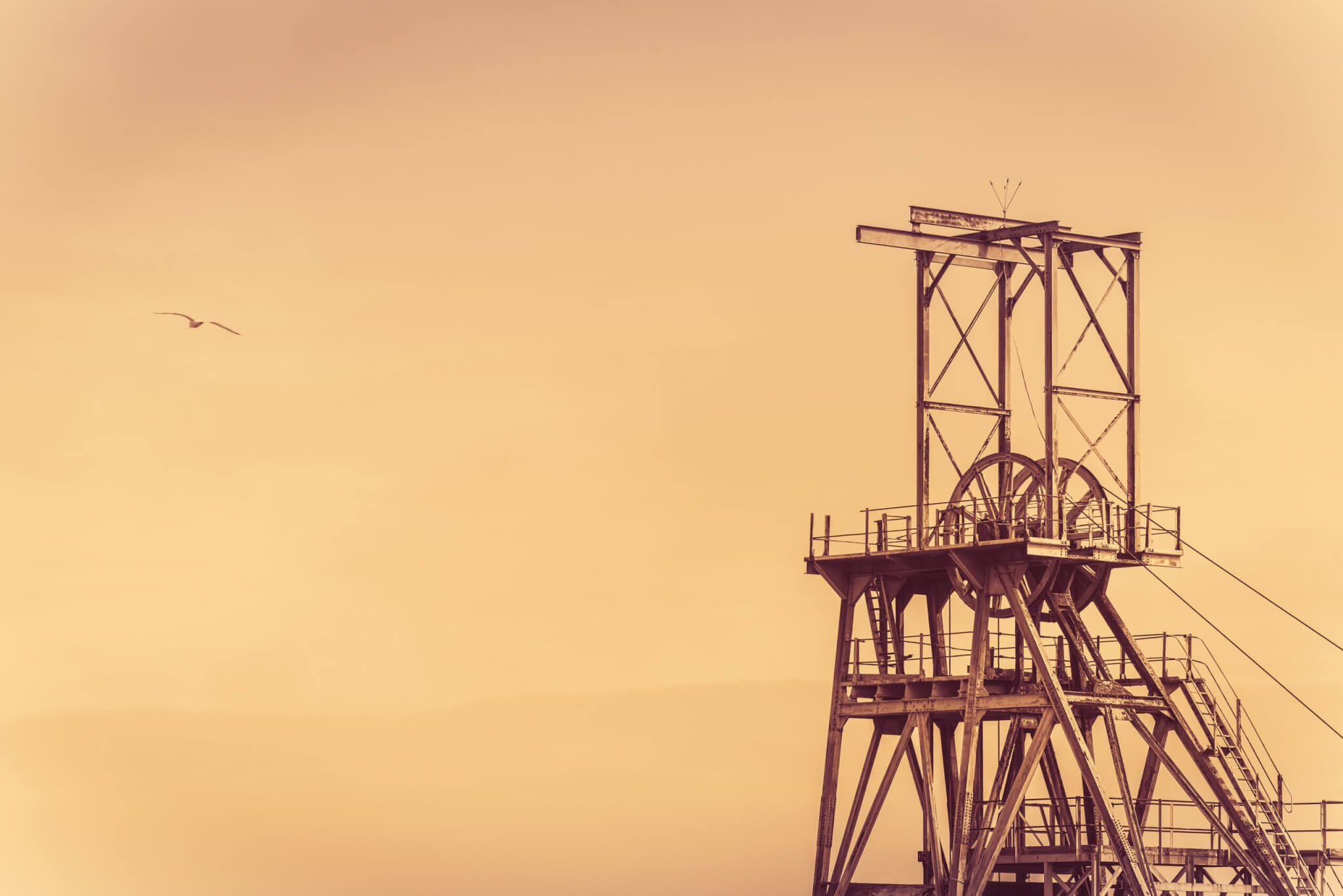 Cornish tin mine winding-gear headframe silhouetted at sunset with a gull overhead
