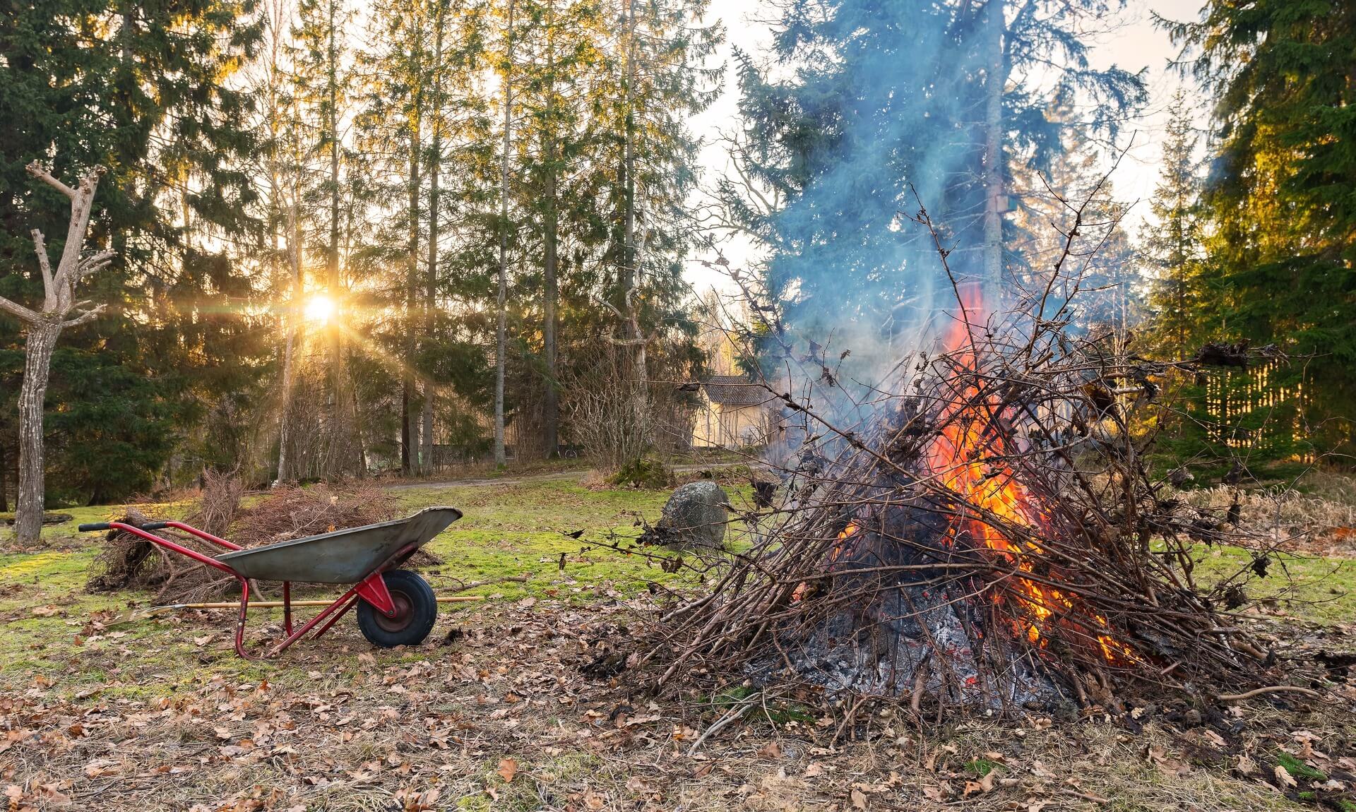 A garden bonfire of branches burning beside a wheelbarrow in a wooded garden at sunset