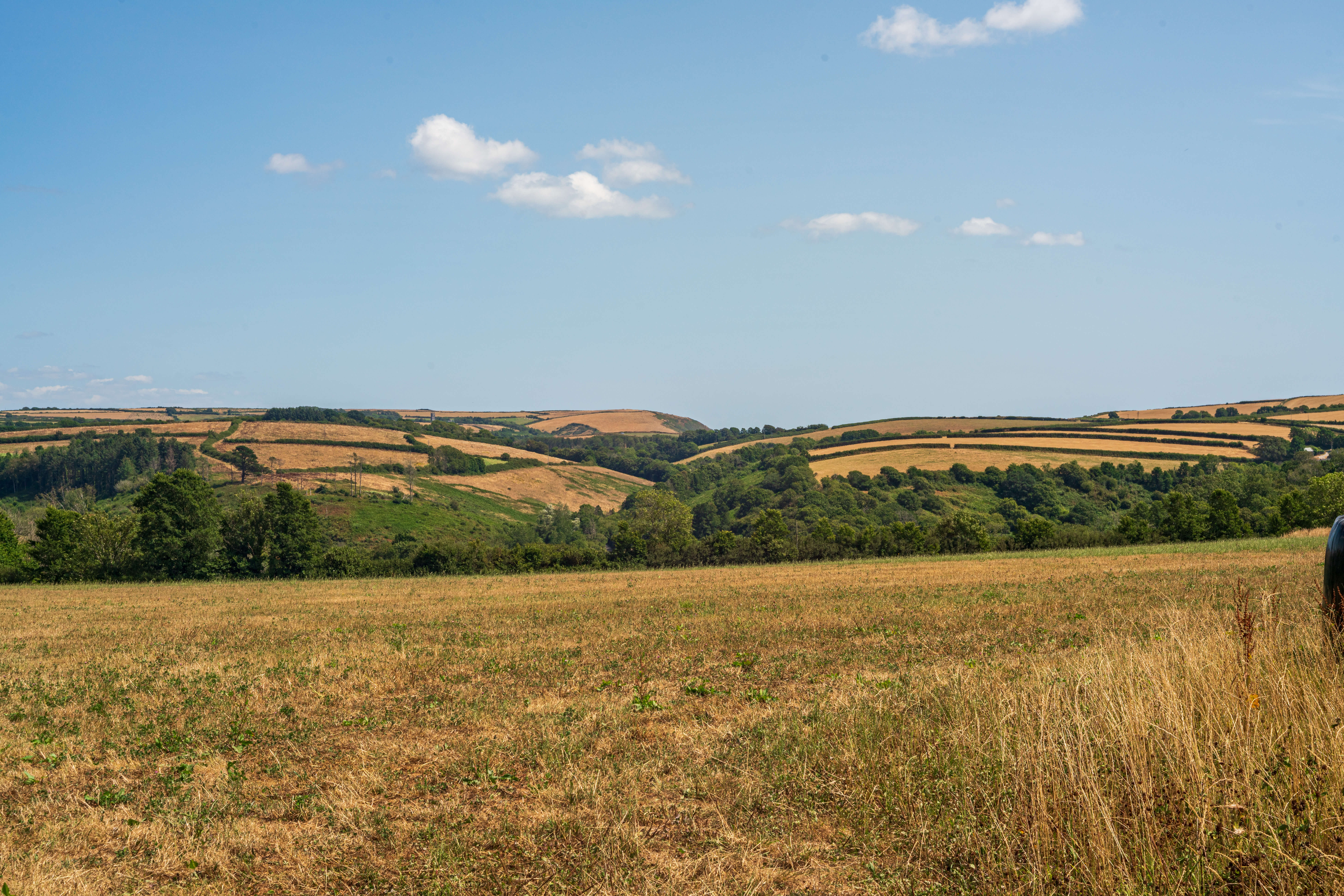 Parched golden fields and dry hillsides in the Cornish countryside under a clear blue summer sky