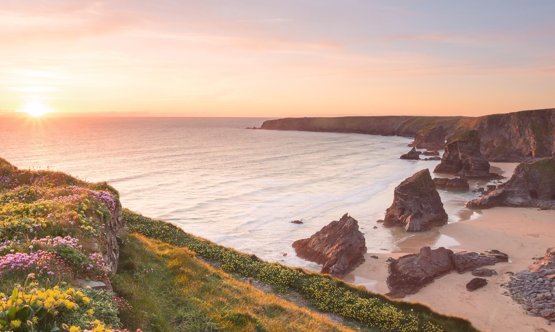 Sunset over a Cornish beach with sea stacks and clifftop wildflowers