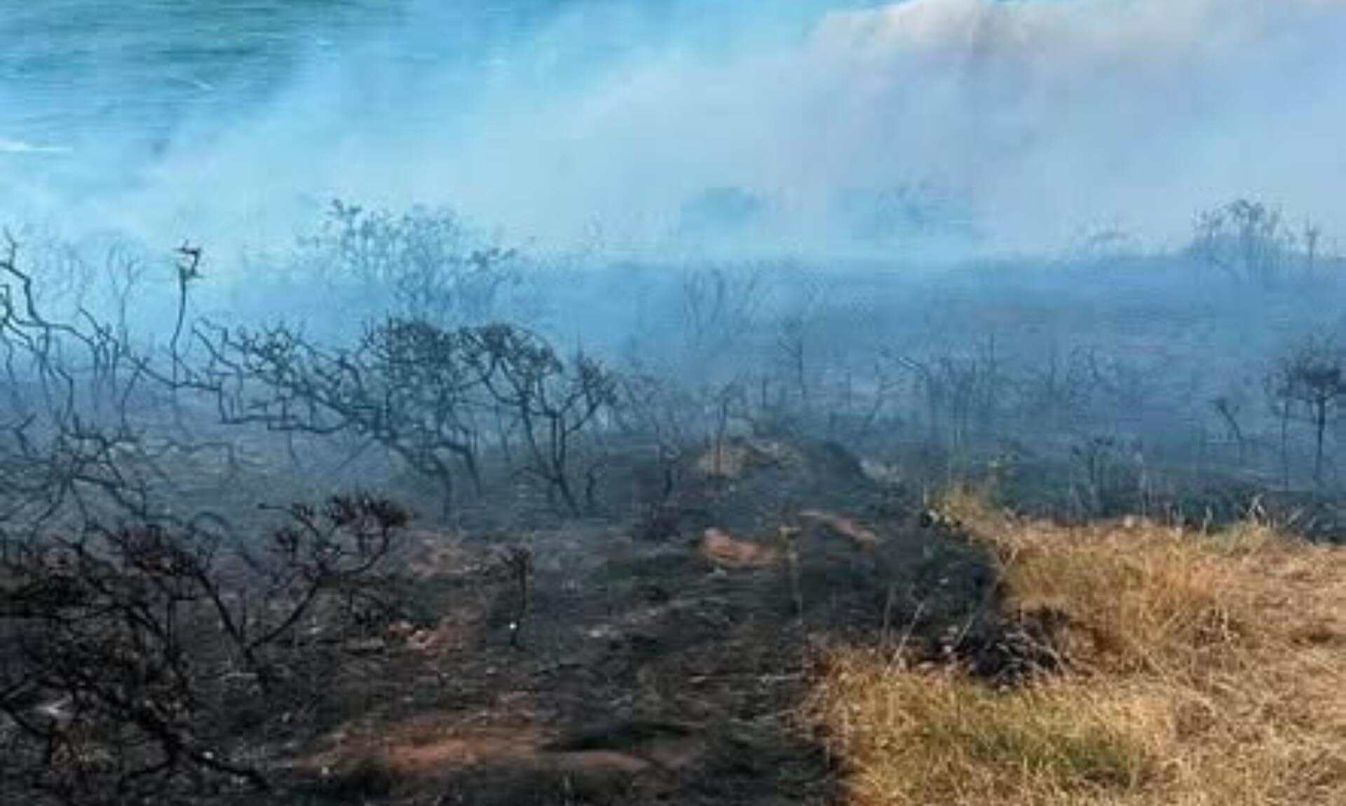 Scorched heathland and drifting smoke across a Cornwall clifftop after a wildfire