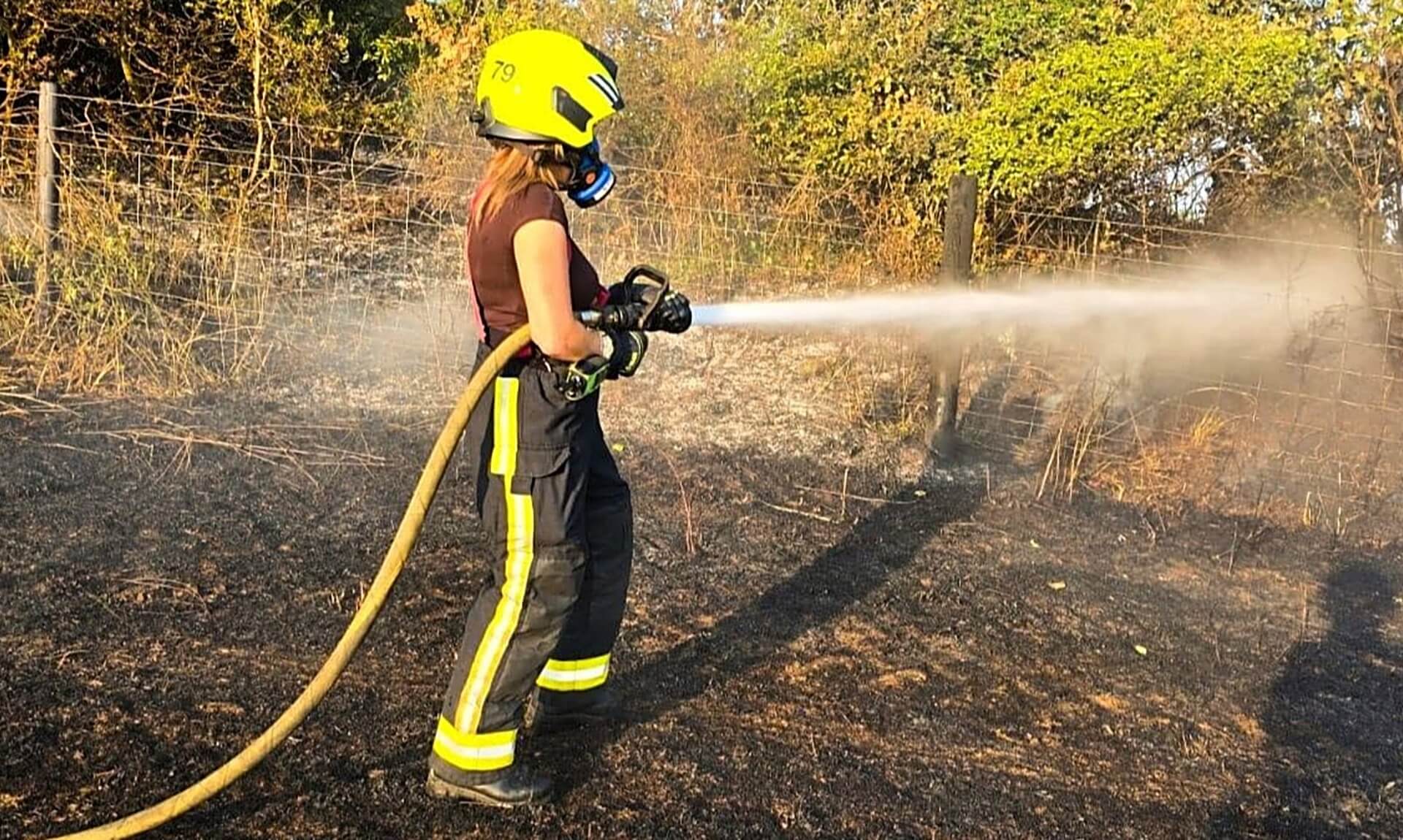 Firefighter tackling a wildfire with a hose