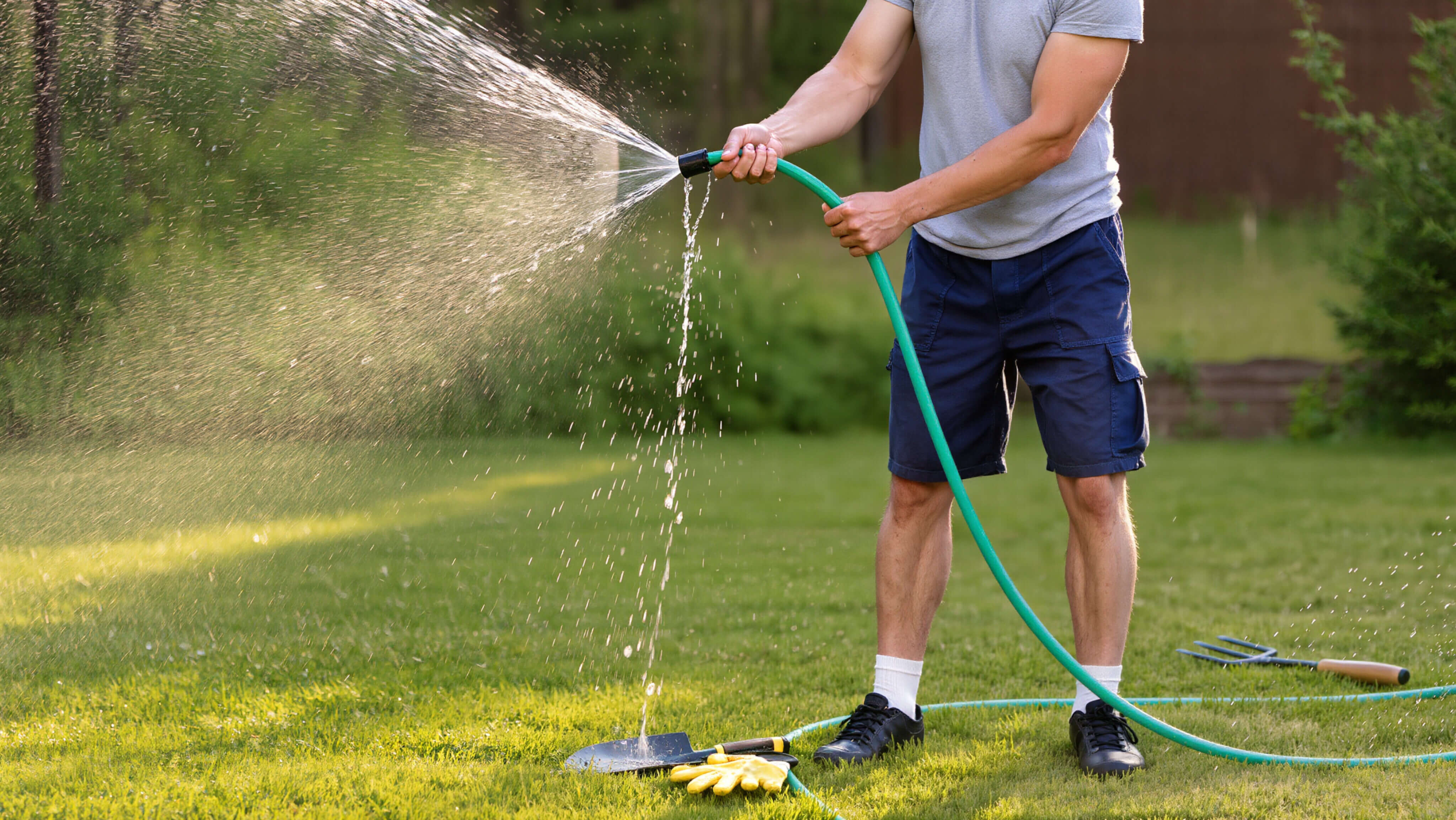 A man watering a garden lawn with a green hosepipe in summer