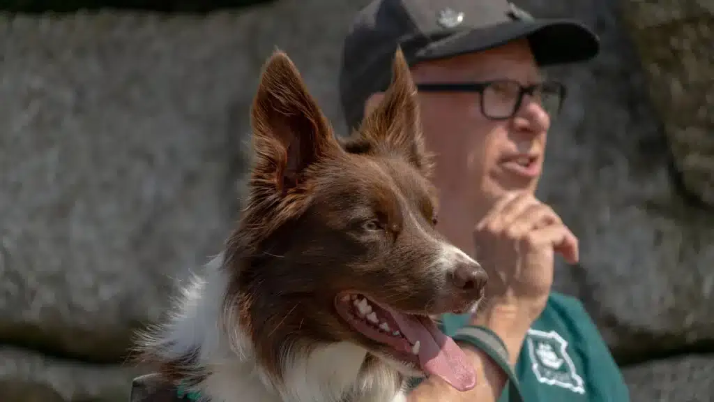 A dog and its owner at the Carn Brea celebration