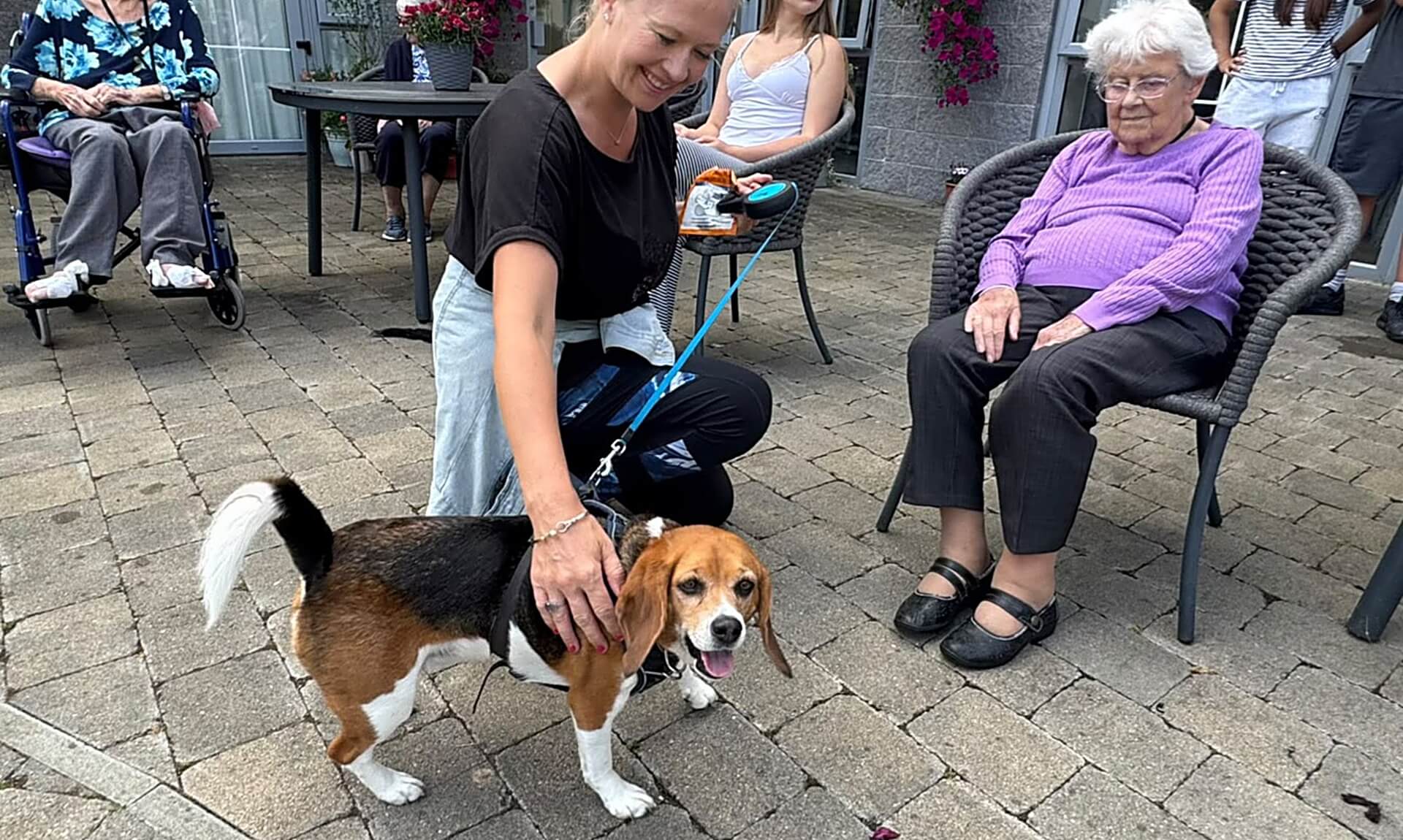 A dog being stroked by a resident and volunteer in the garden at Falmouth Court Care Home