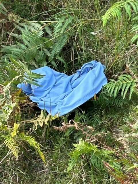 Abandoned blue clothing left in the bracken on Bodmin Moor near Minions