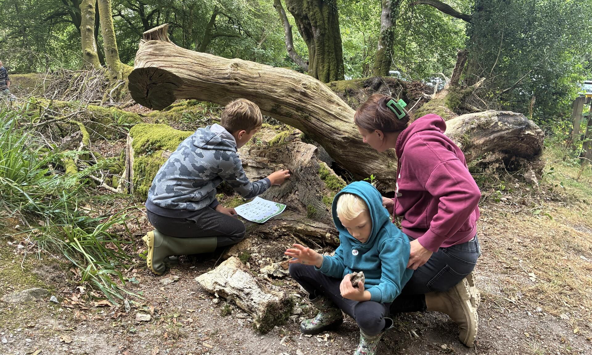 A boy and a young child examine a fallen log with a volunteer at a Wild Wellbeing session at Golitha Falls