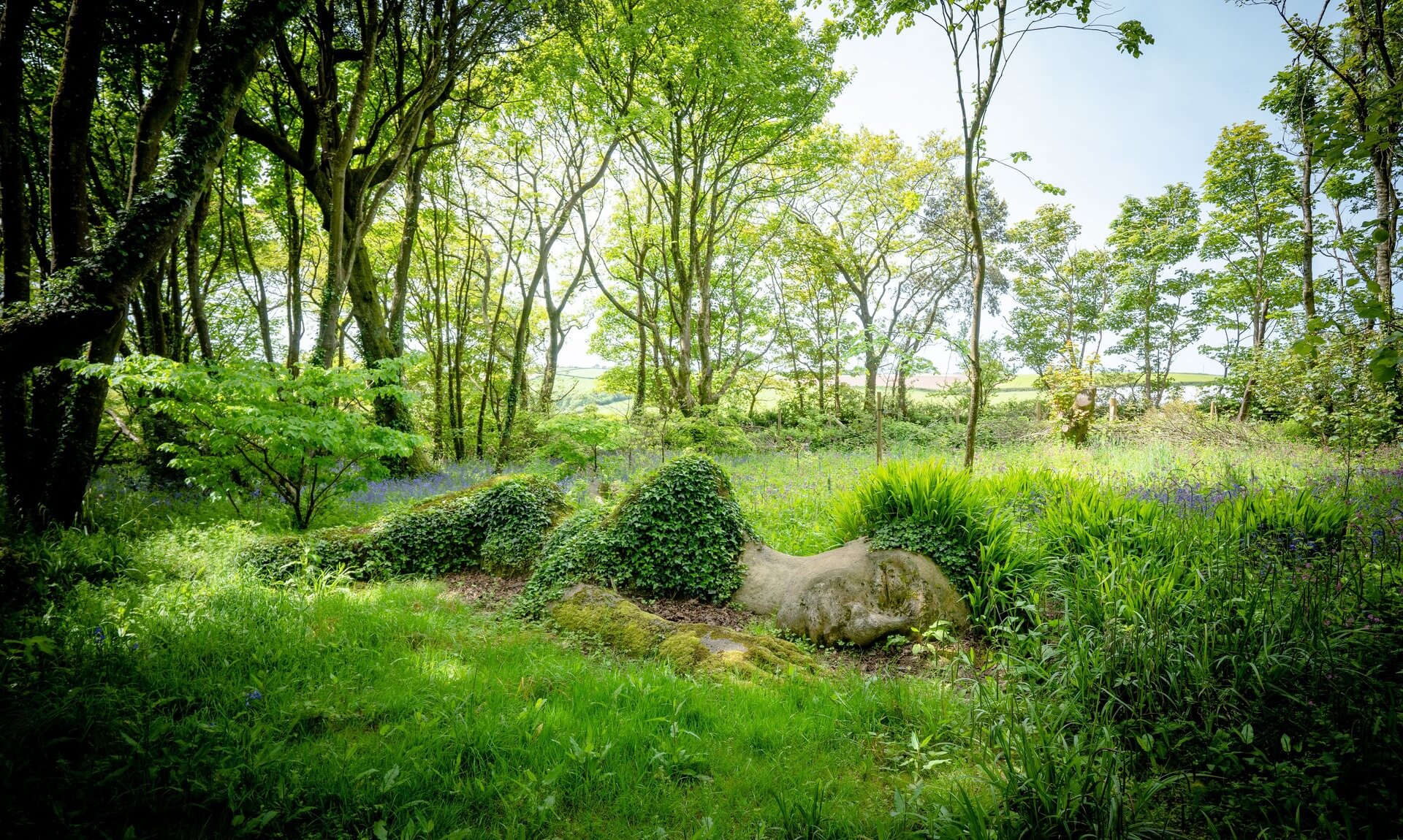 The Mud Maid sculpture asleep among bluebells in the woodland at the Lost Gardens of Heligan