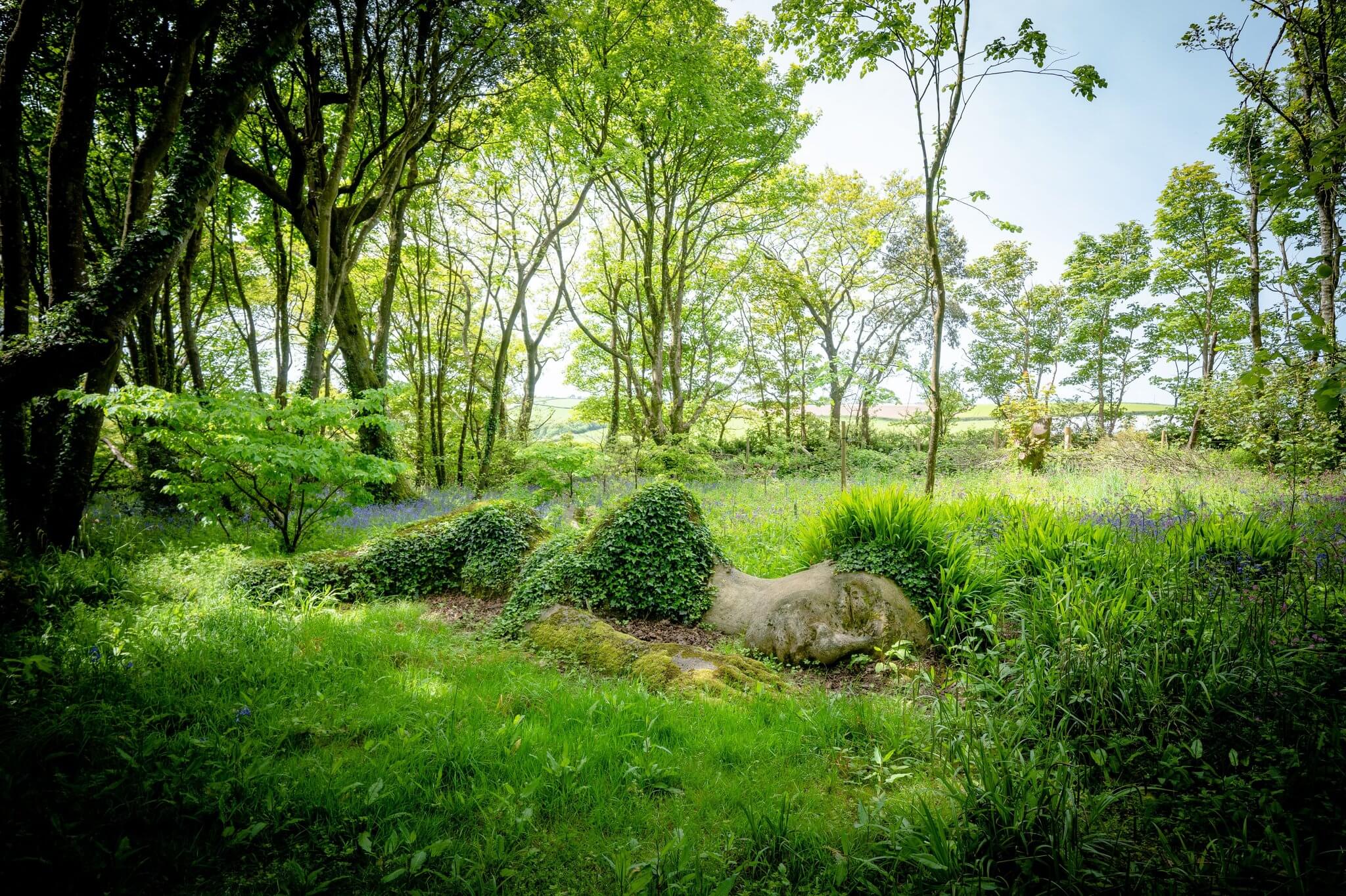 The Mud Maid sculpture asleep among bluebells in the woodland at the Lost Gardens of Heligan