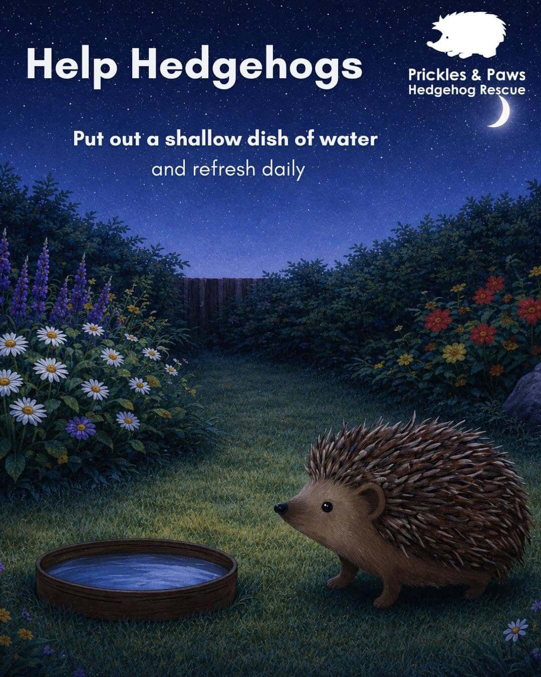 Prickles and Paws graphic asking people to put out a shallow dish of water for hedgehogs and refresh it daily