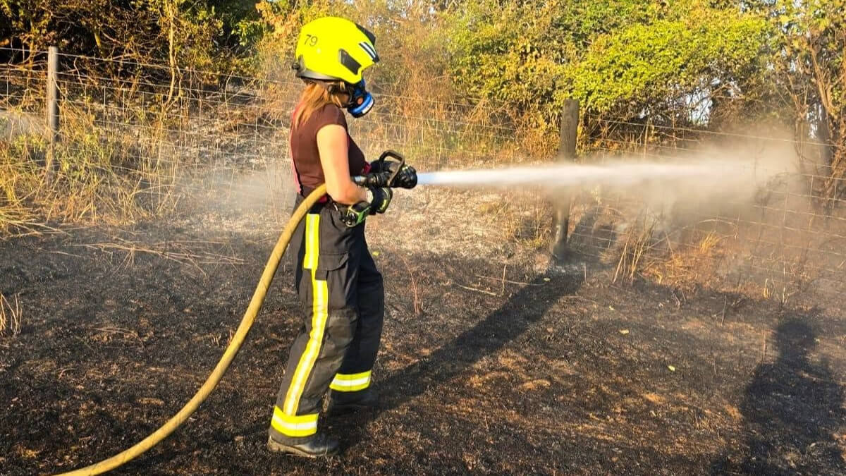 Firefighter tackling a wildfire with a hose