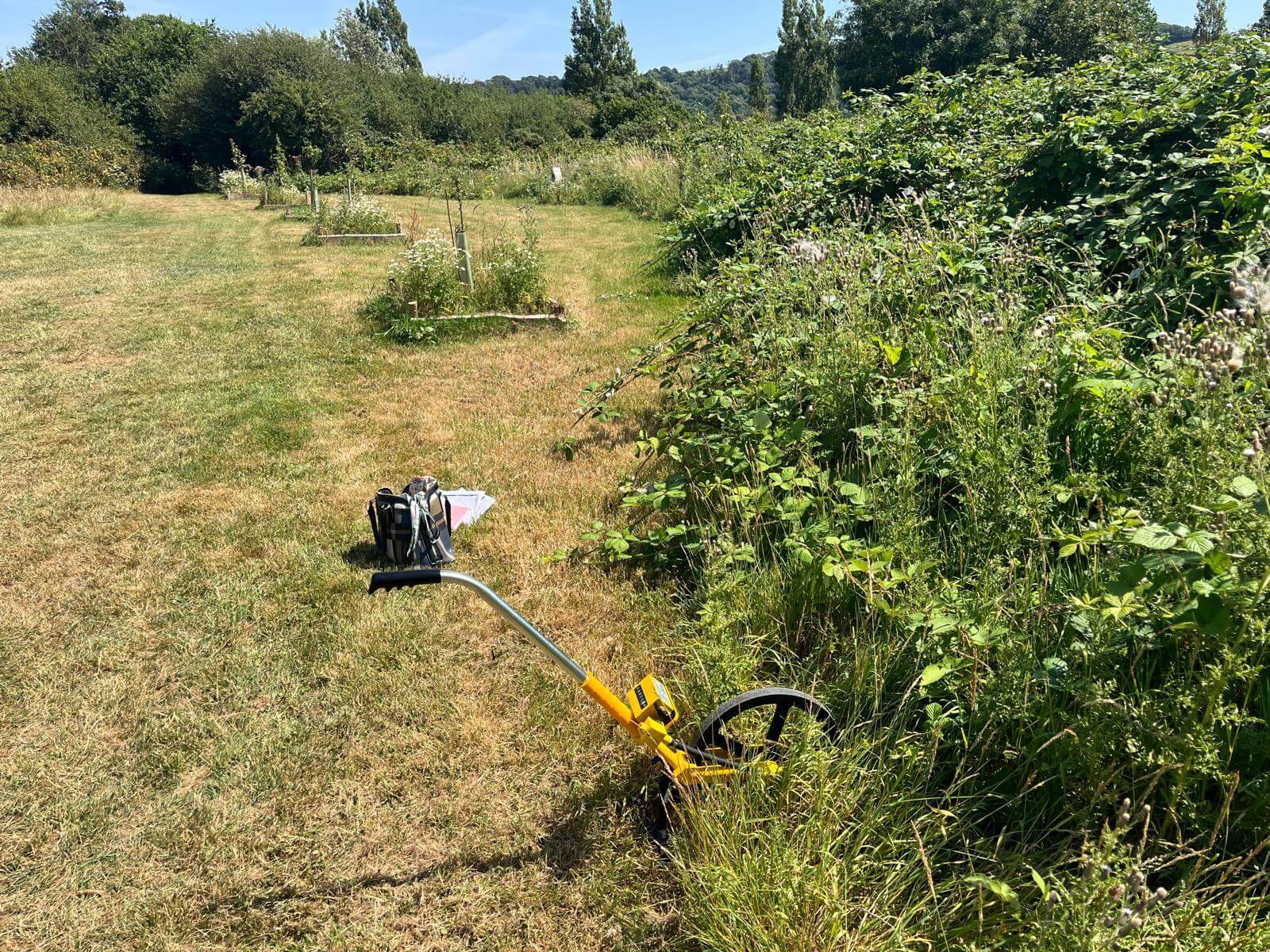The community orchard area at the edge of Millbrook recreation field