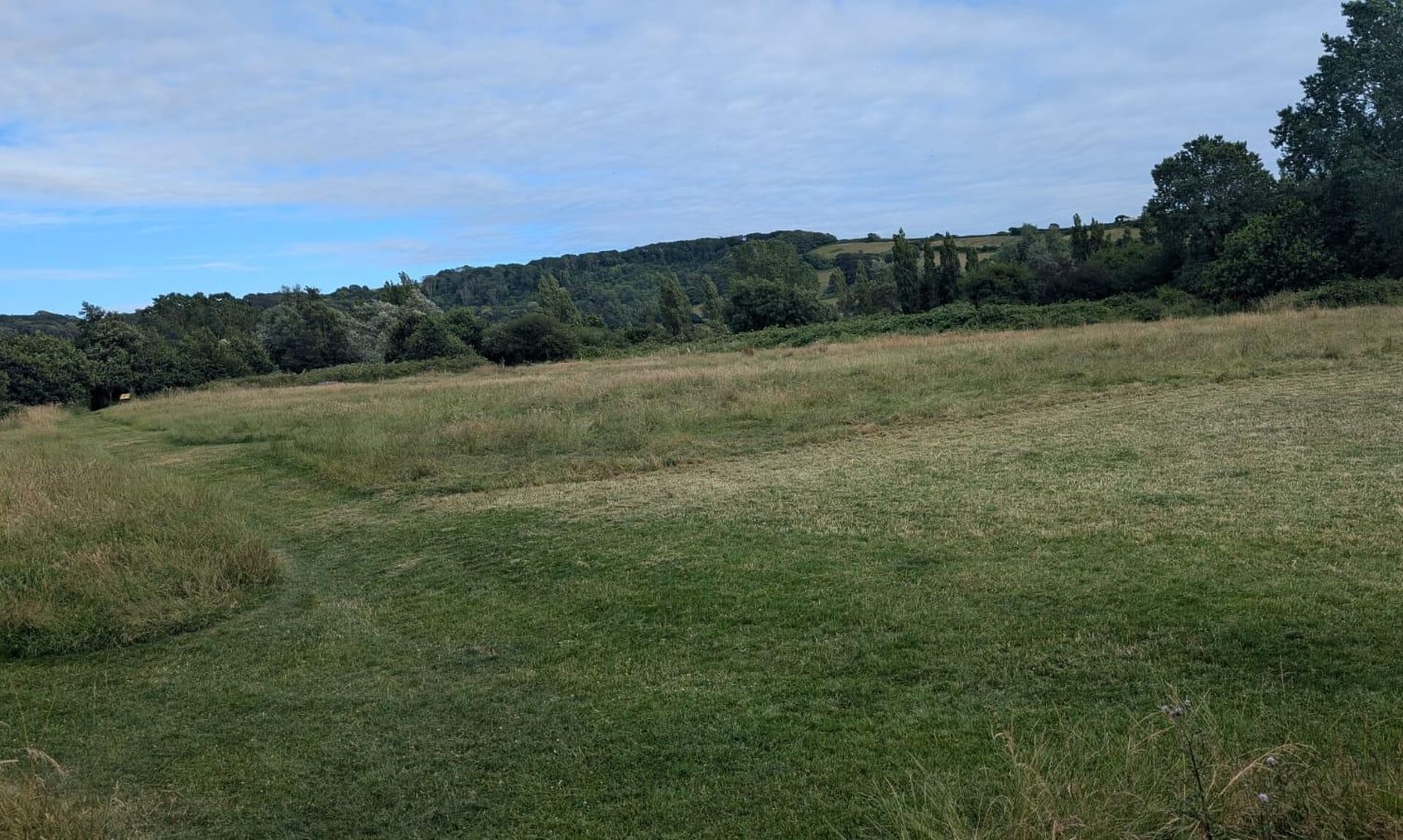 Millbrook's main recreation field, a meadow of long grass with trees behind