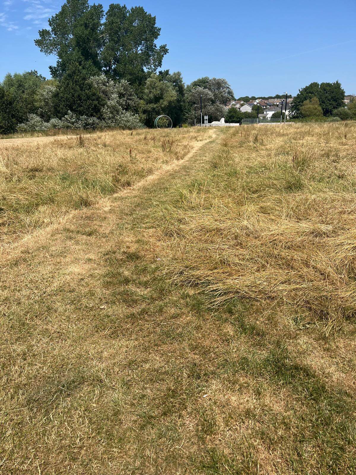 A mown path through the long grass of Millbrook recreation field