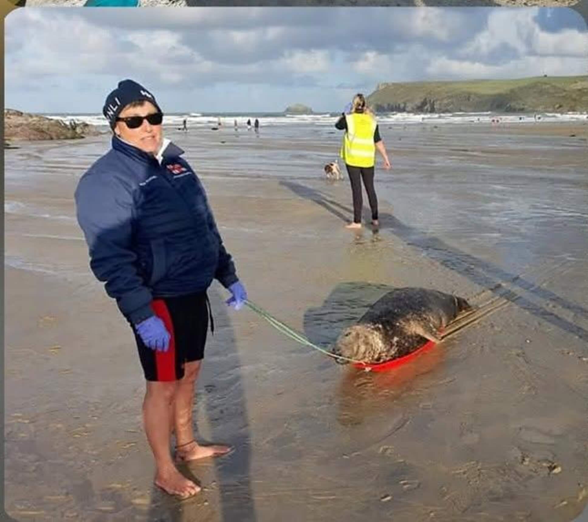 BDMLR volunteer walking a seal on a stretcher across Polzeath beach