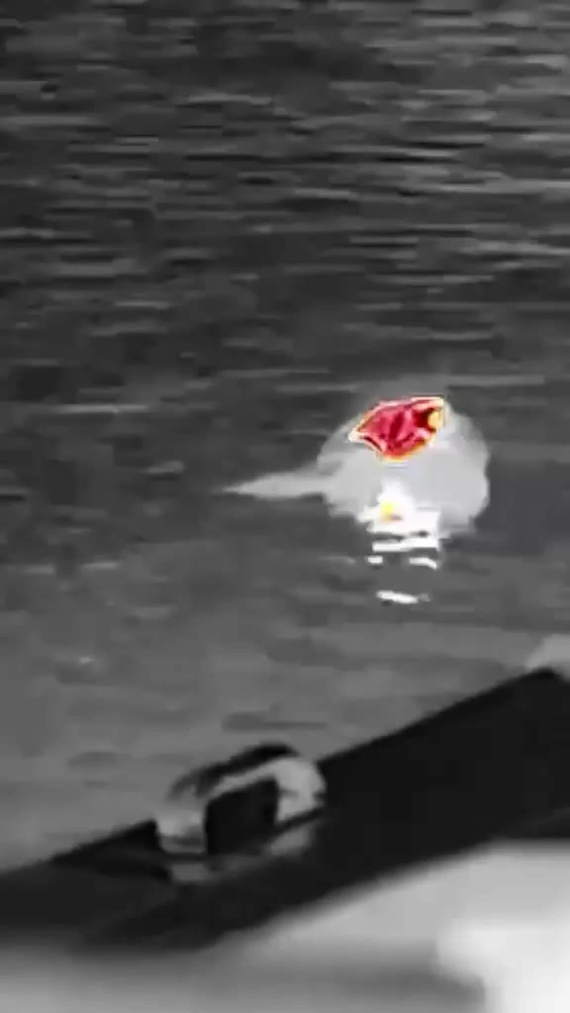 Thermal camera view of a rescue dummy floating in dark water, its lifejacket glowing red and orange
