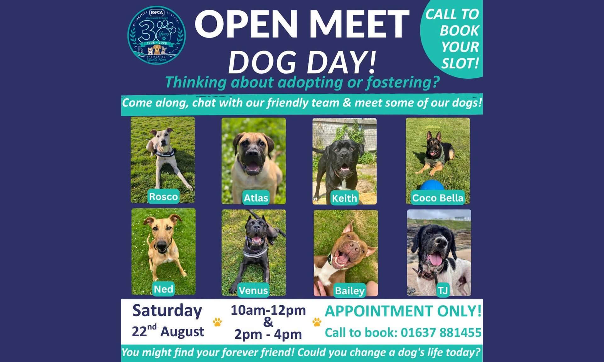 RSPCA Cornwall Open Meet Dog Day poster showing eight dogs looking for homes