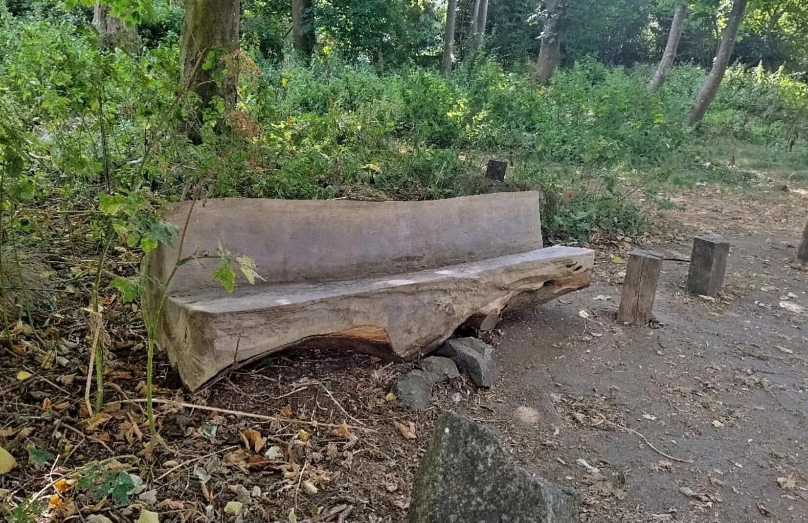 A wooden bench carved from a log at The Spinney in Camborne