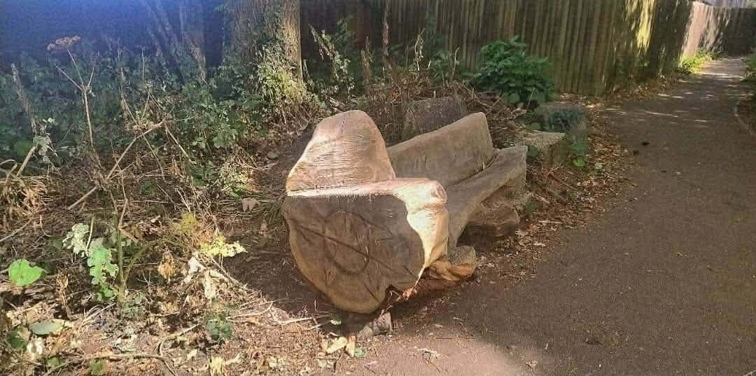 A wooden bench at The Spinney in Camborne with damage marked into the end grain