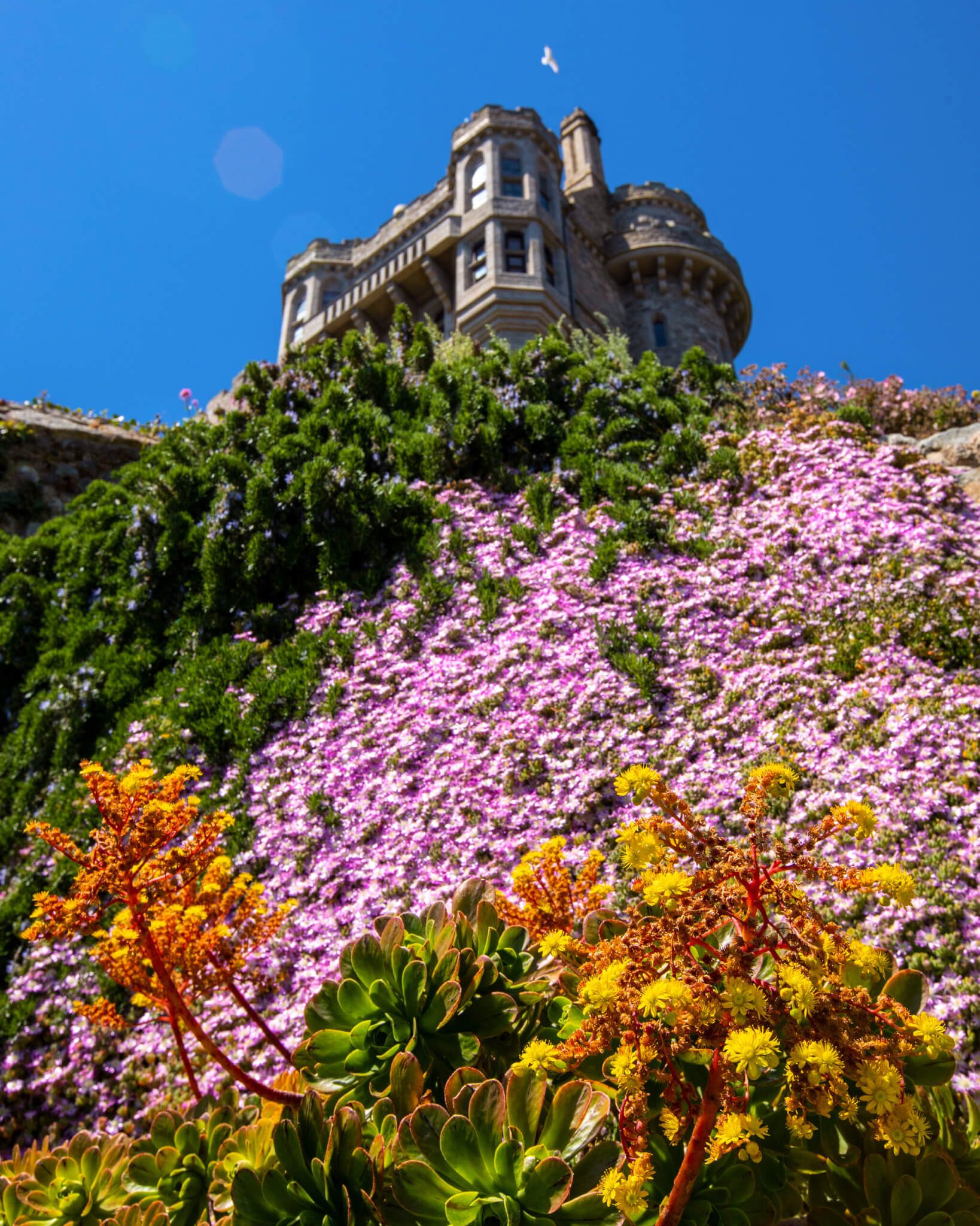 The castle turret of St Michael's Mount above a wall of pink and yellow flowers