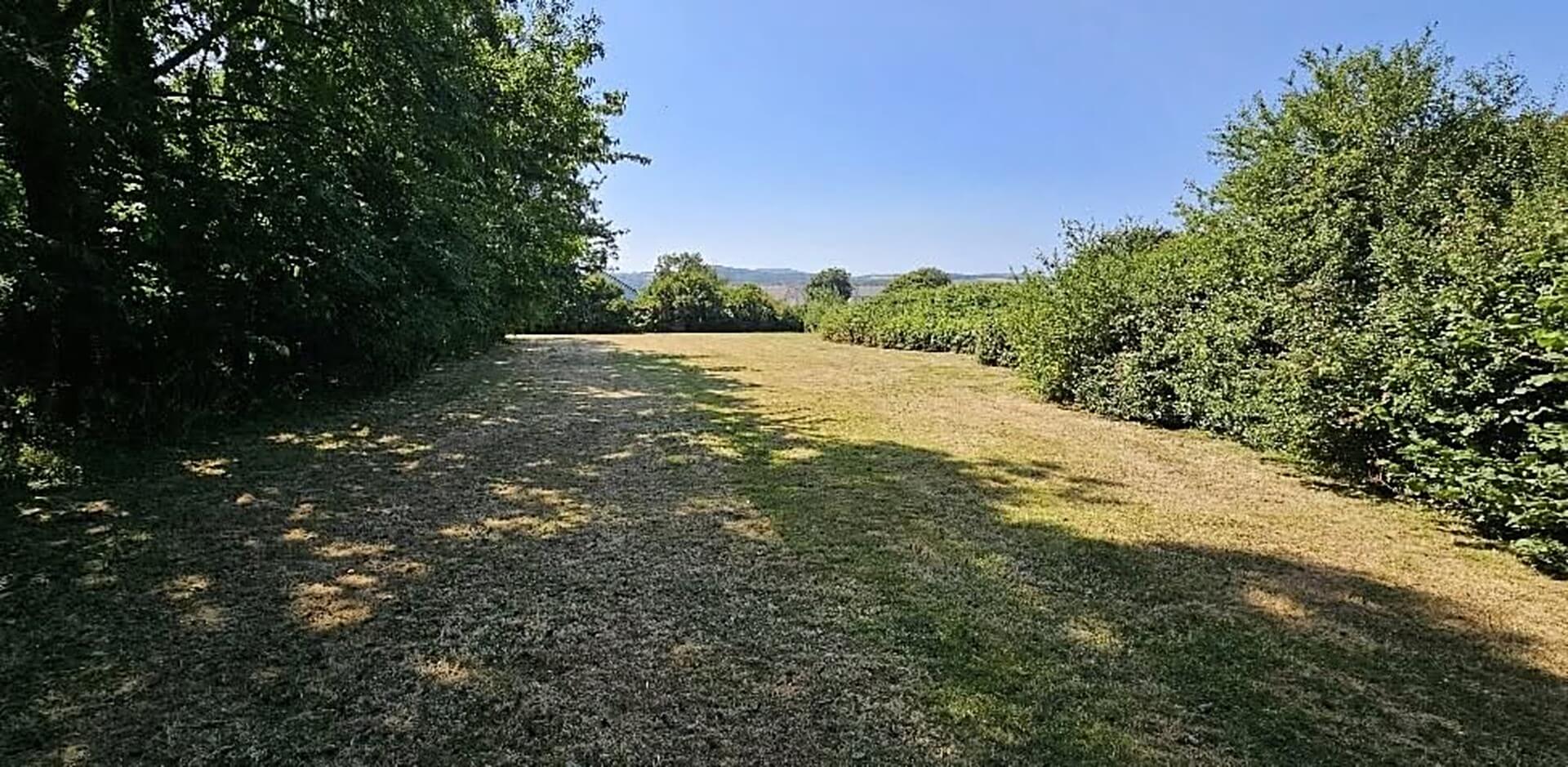 The grassed area at Vicarage Gate in St Erth, the proposed site for a community orchard