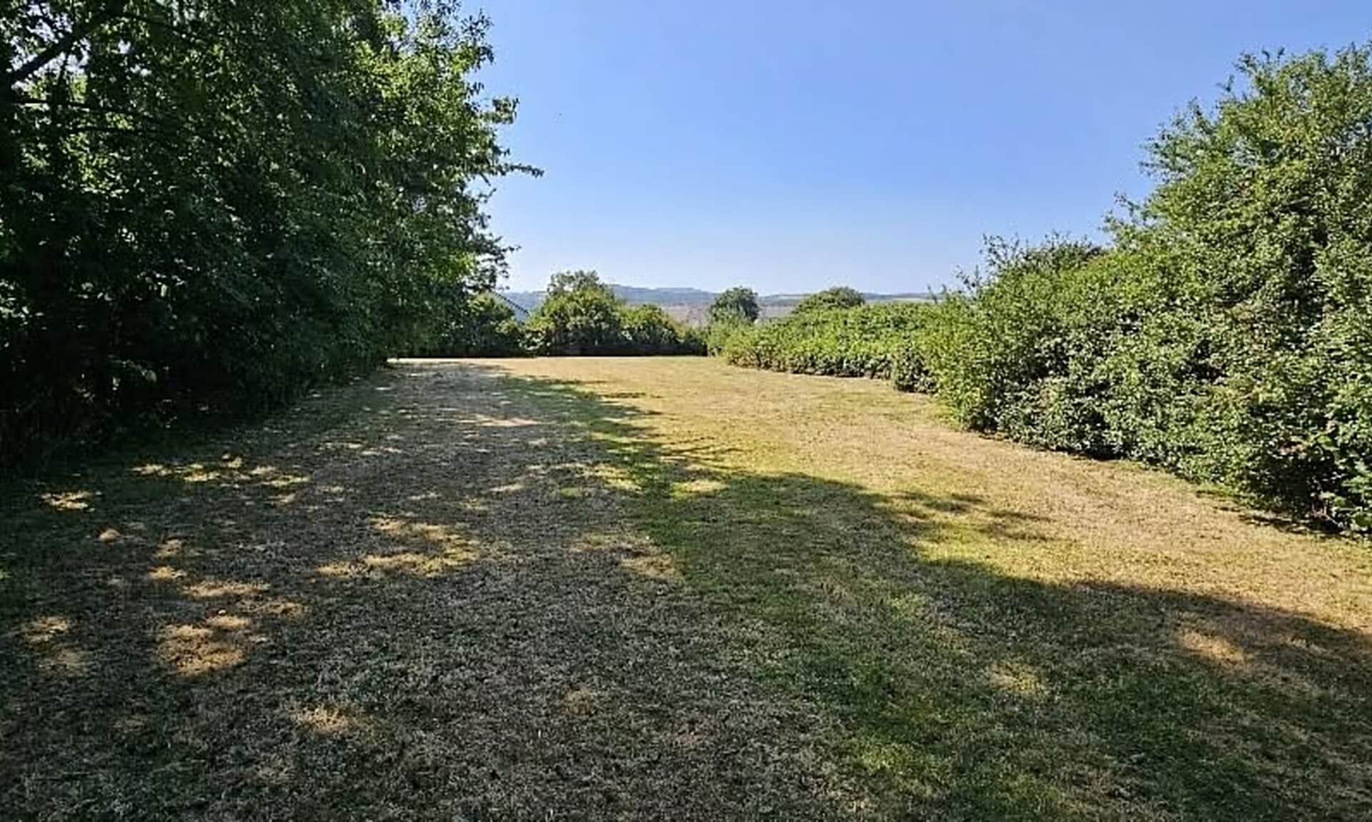 The grassed area at Vicarage Gate in St Erth, the proposed site for a community orchard