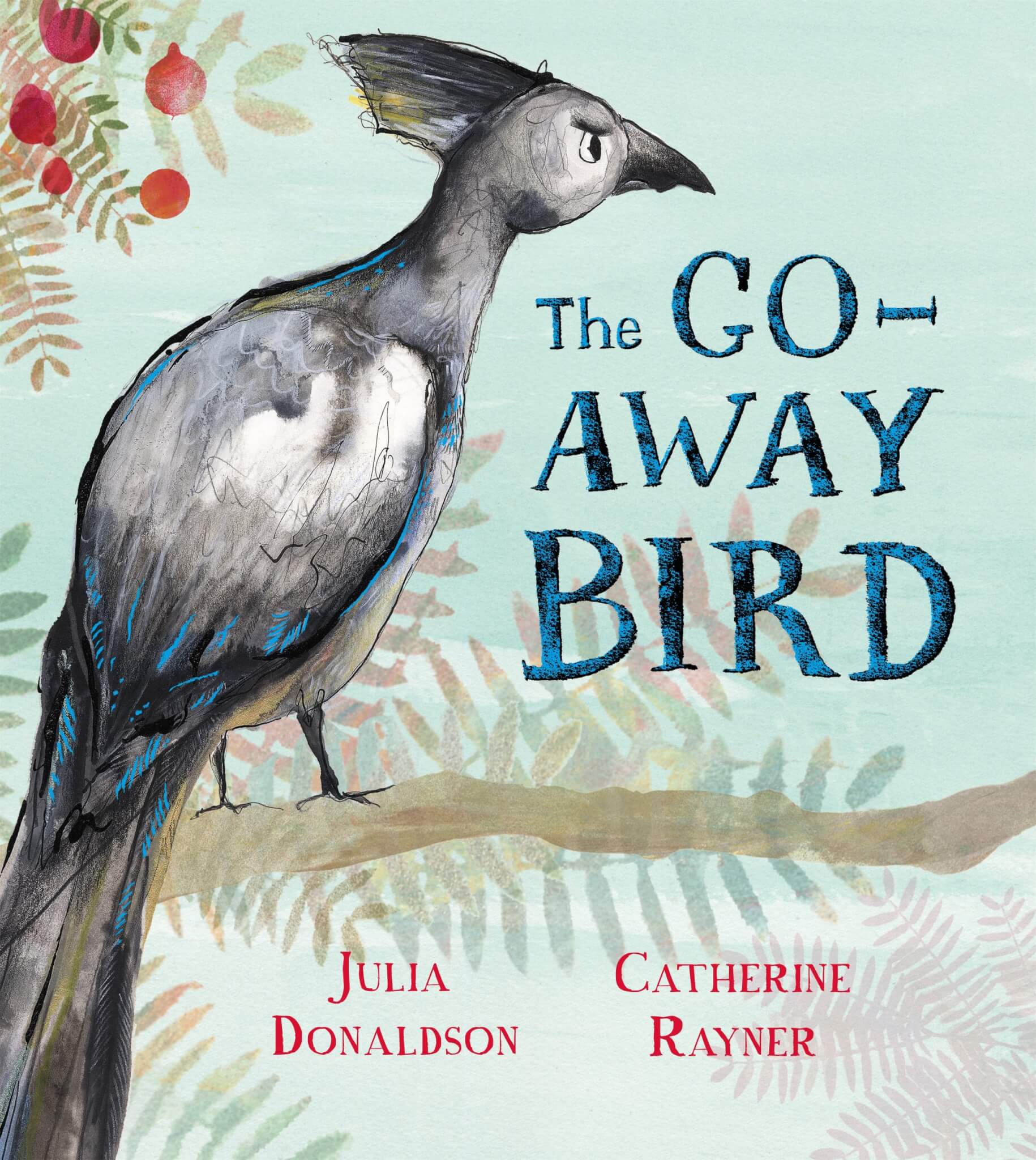 The Go-Away Bird book cover by Julia Donaldson and Catherine Rayner