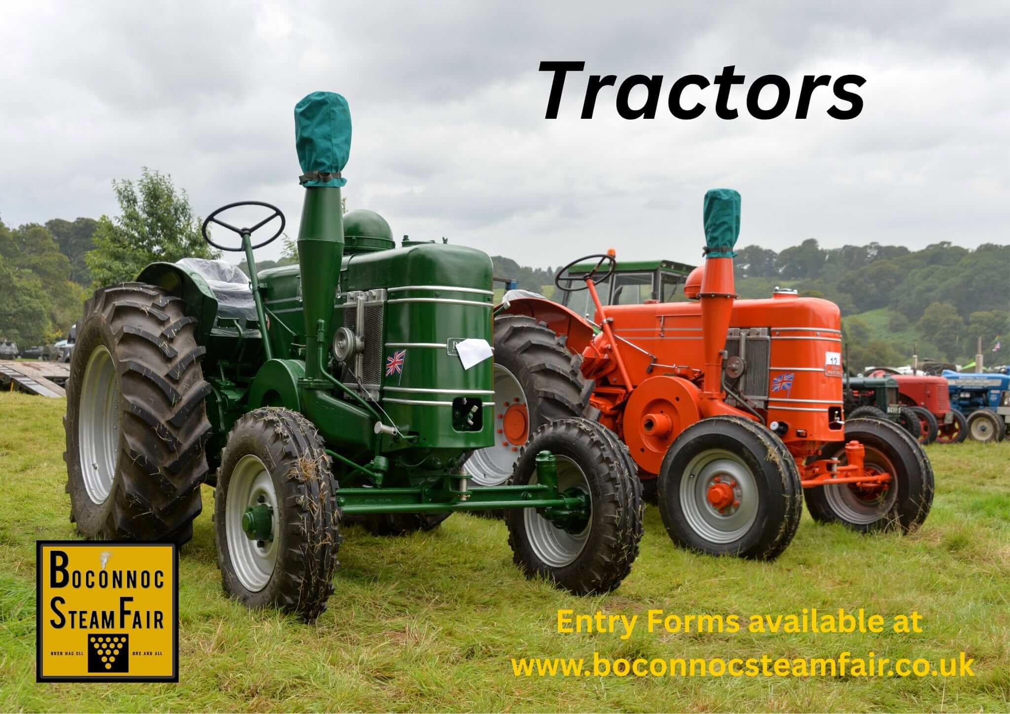 Restored vintage tractors lined up at Boconnoc Steam Fair
