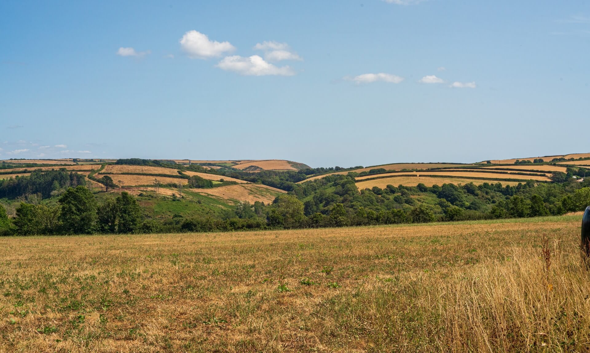 Parched golden fields and dry hillsides in the Cornish countryside under a clear blue summer sky
