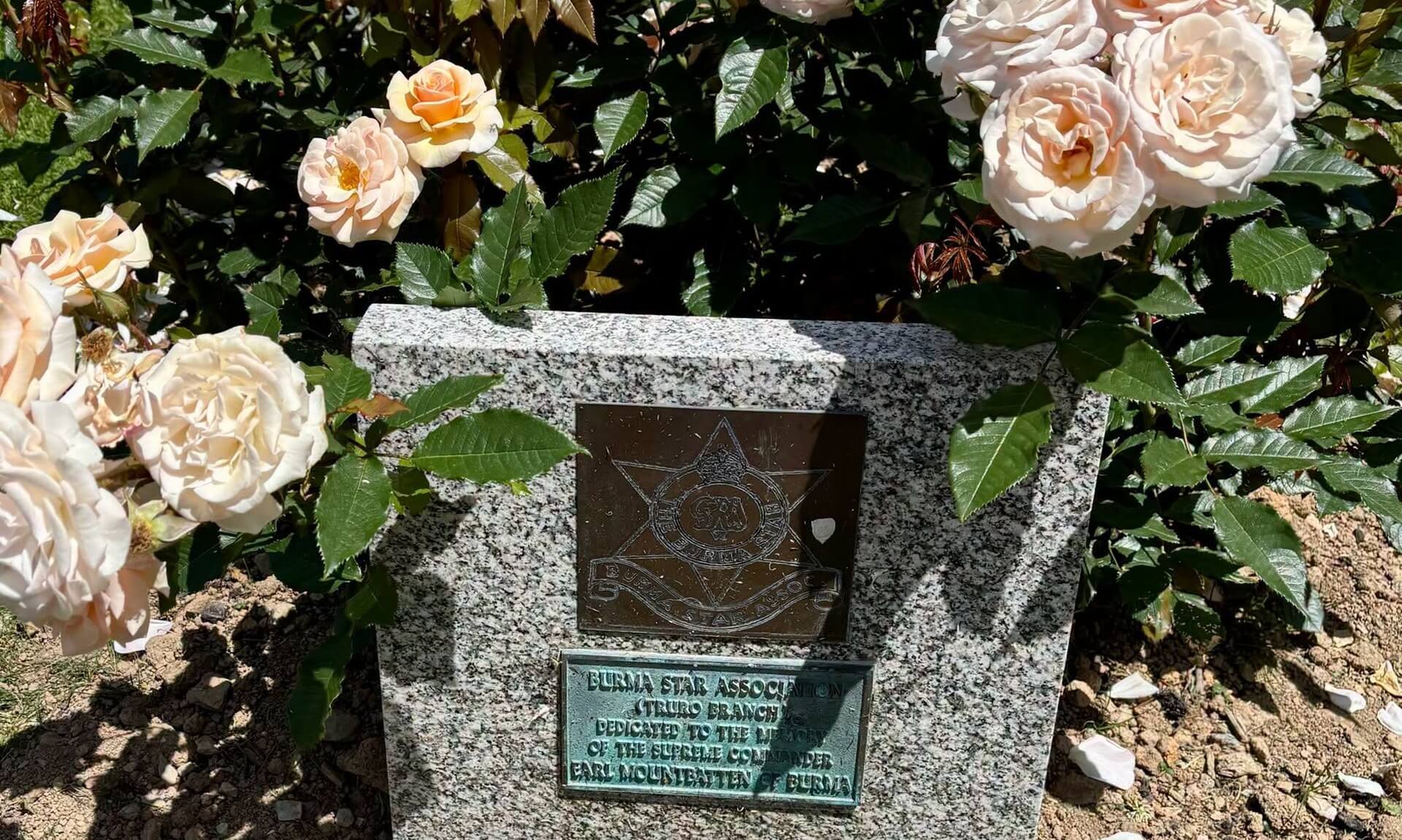 The Burma Star Association plaque set in granite among pale roses in Victoria Gardens, Truro