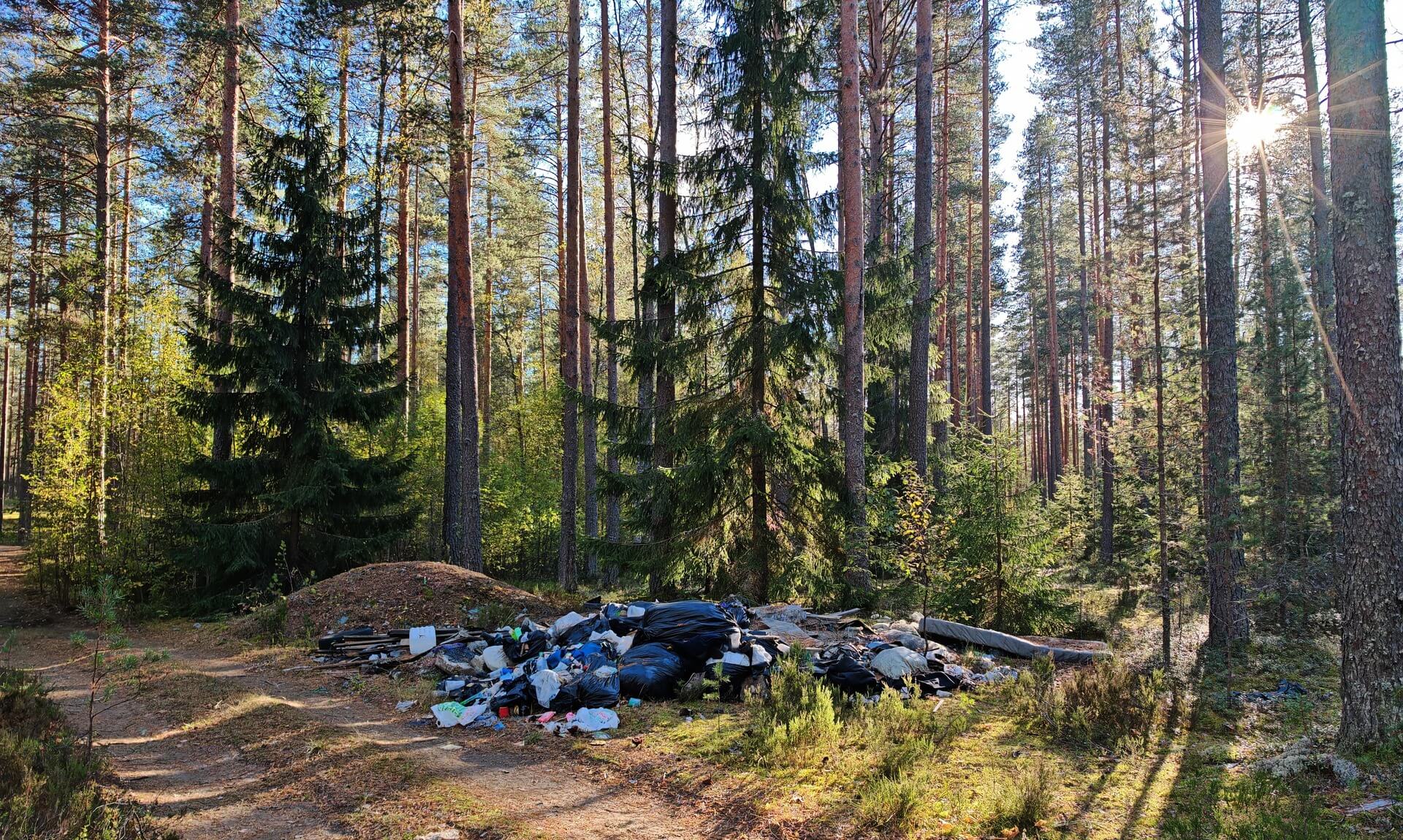 Illegally dumped waste piled up in woodland