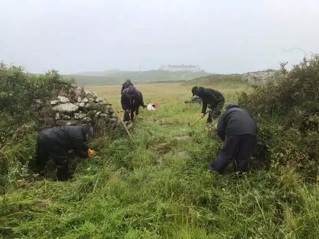 Volunteers clearing and conserving a Cornish heritage site in the rain