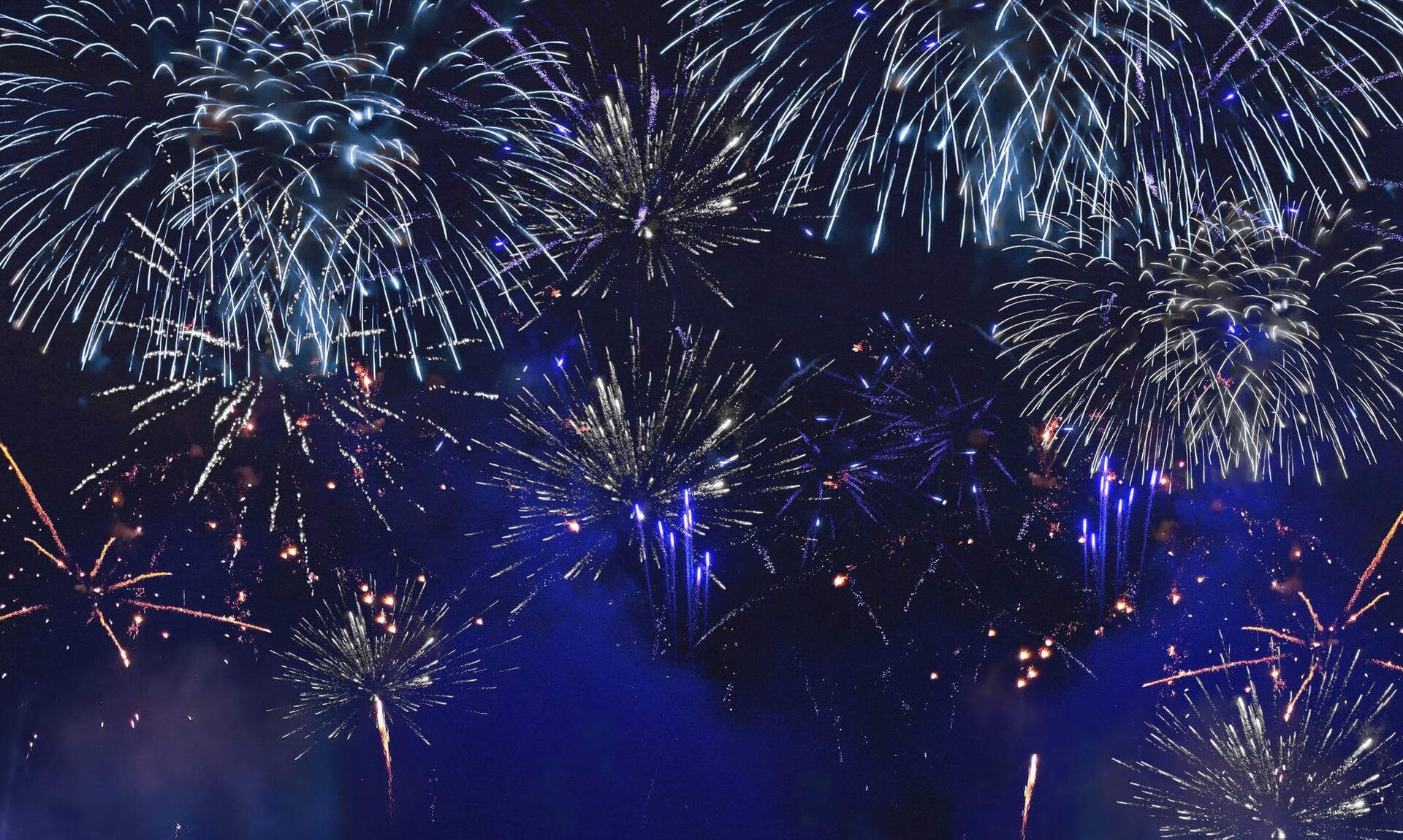 Fireworks bursting over a dark night sky