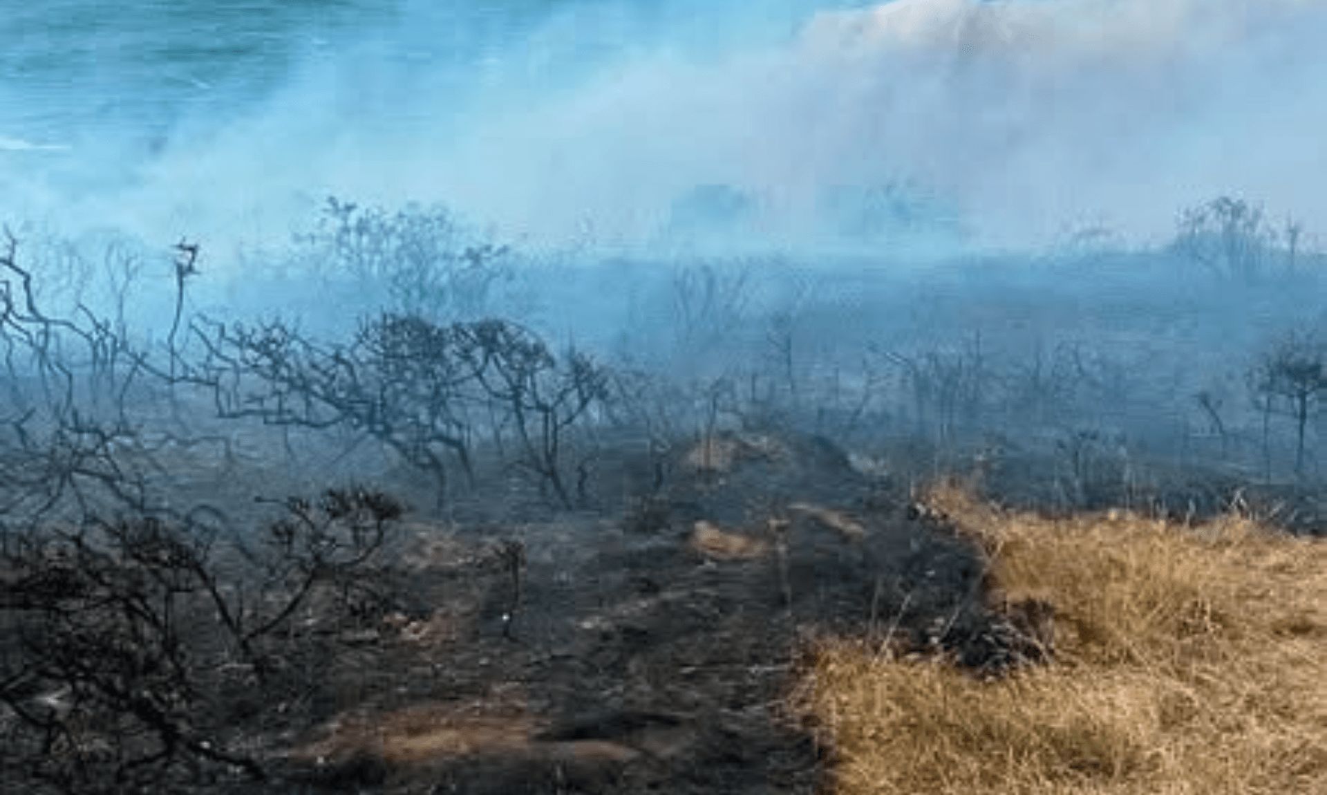 Wide view of burnt heathland and drifting smoke across a Cornwall clifftop after a wildfire