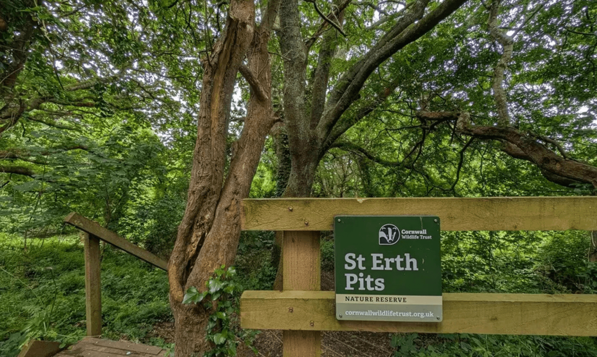 The St Erth Pits nature reserve sign under trees