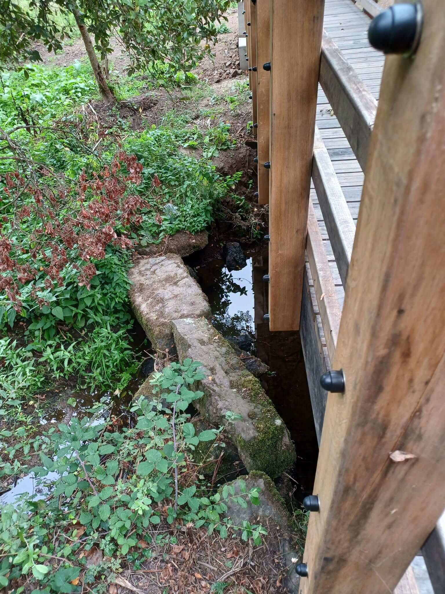 The historic clapper bridge preserved beneath the new footbridge at Grade Ruan