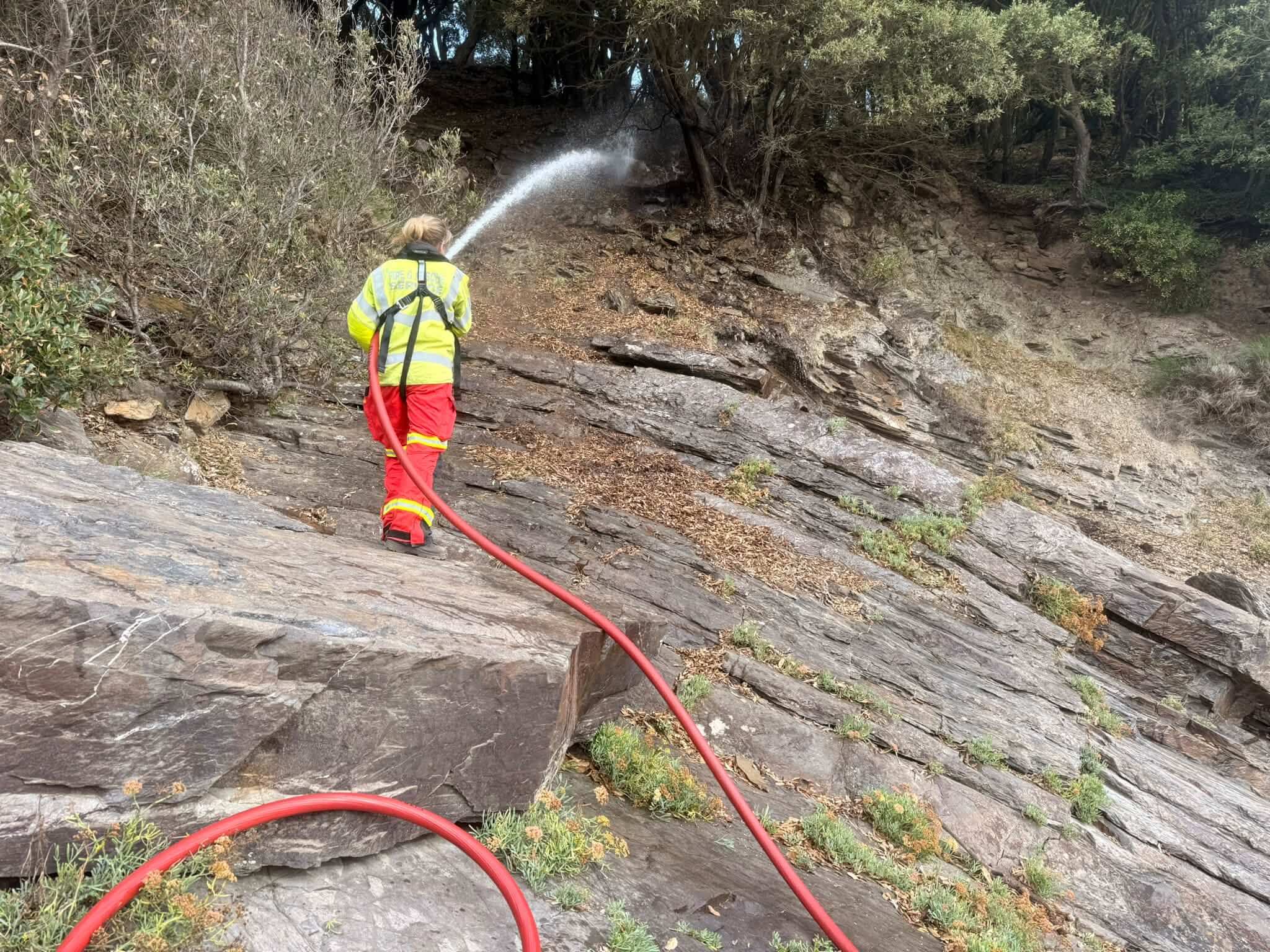 Firefighter spraying water up a rocky, wooded slope near Mawnan