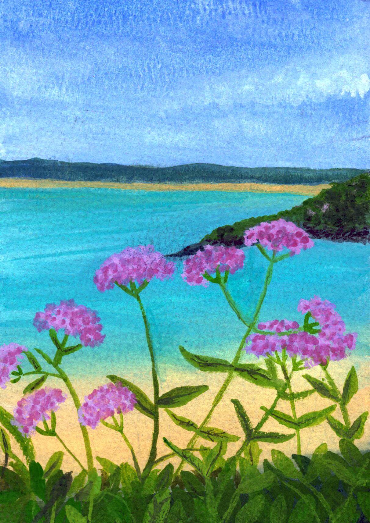 Watercolour postcard of Carbis Bay with pink flowers in the foreground