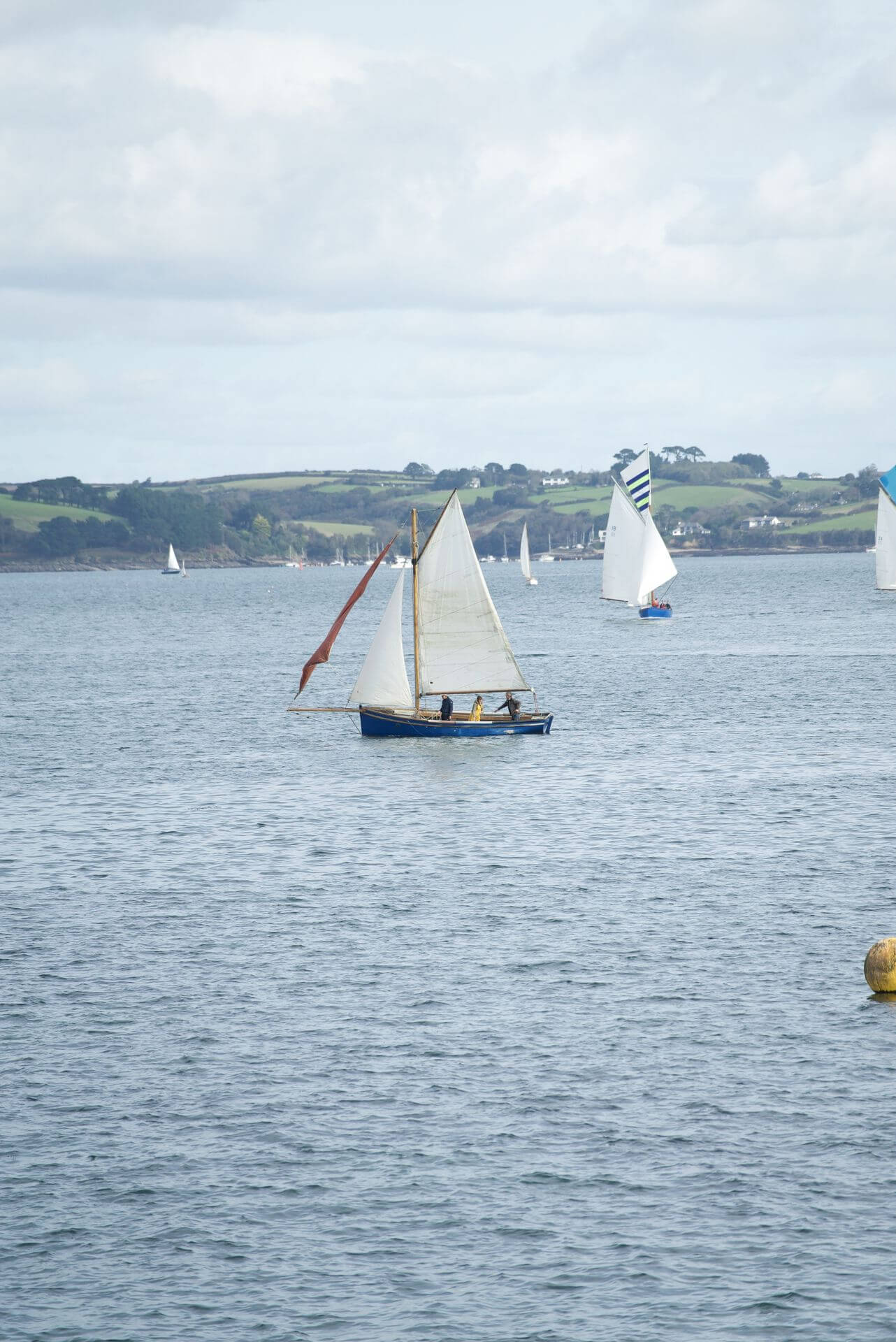 A Falmouth Working Boat under sail on the Carrick Roads during Falmouth Oyster Festival