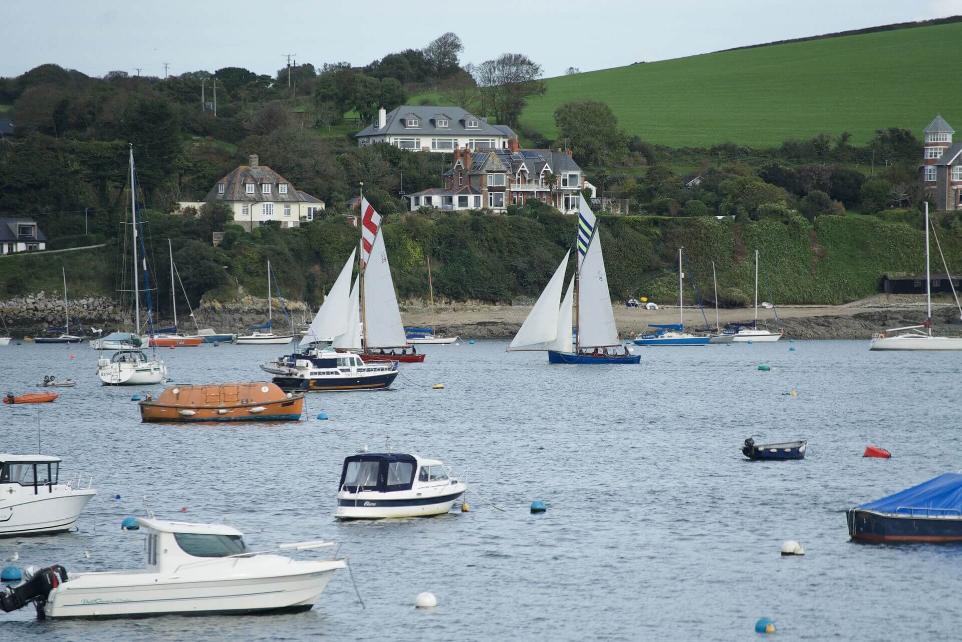 Falmouth Working Boats racing on the harbour during Falmouth Oyster Festival